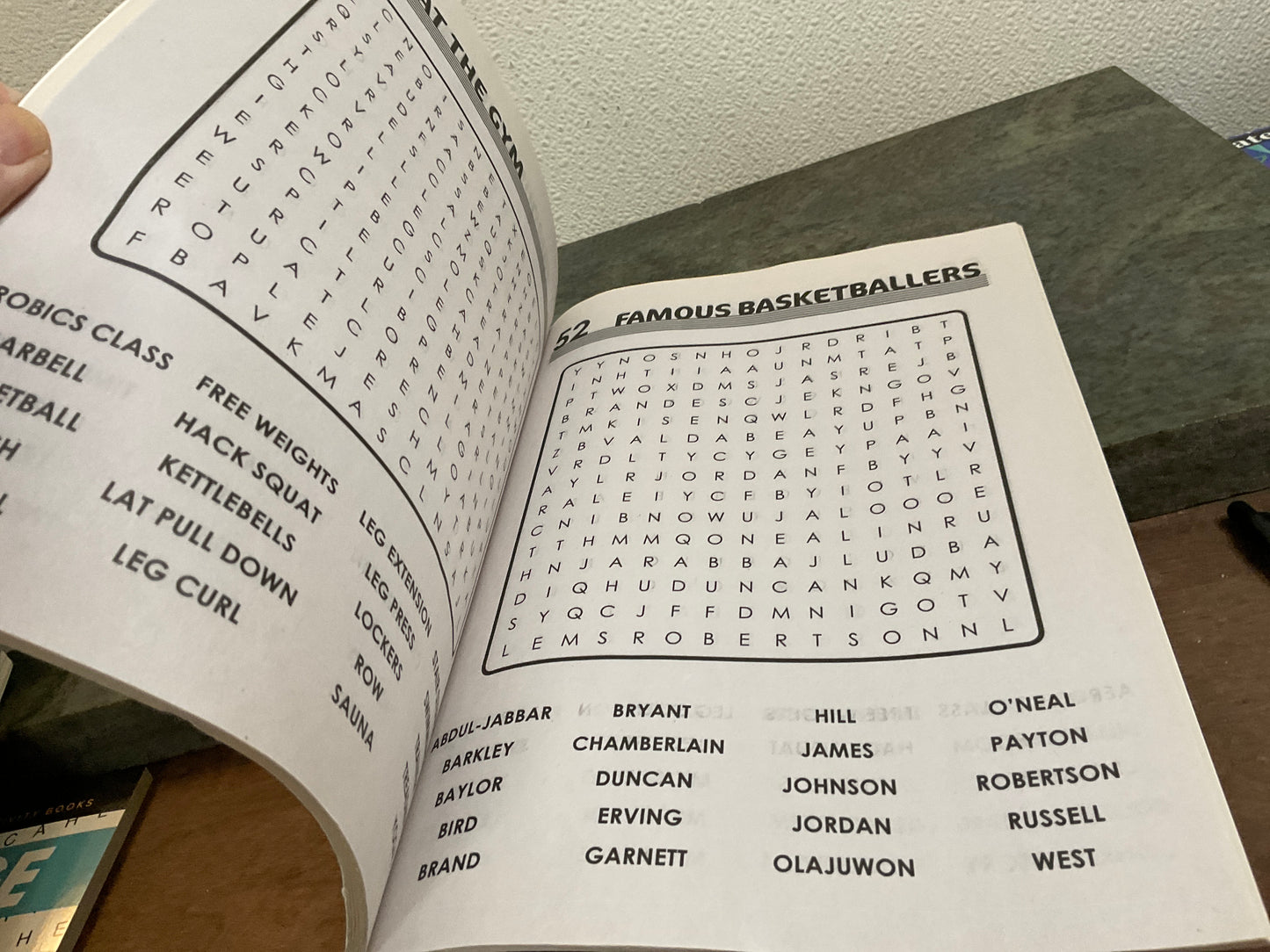 Large Print Jumbo Word Search Puzzle Book
