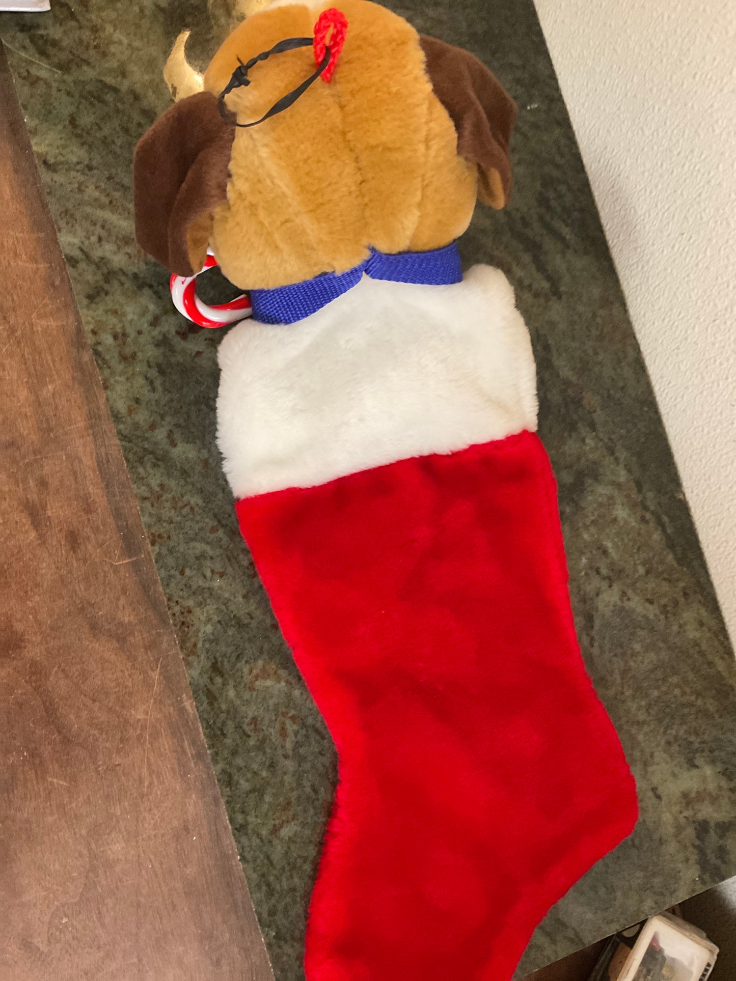 Stocking The Dog Artist Collection