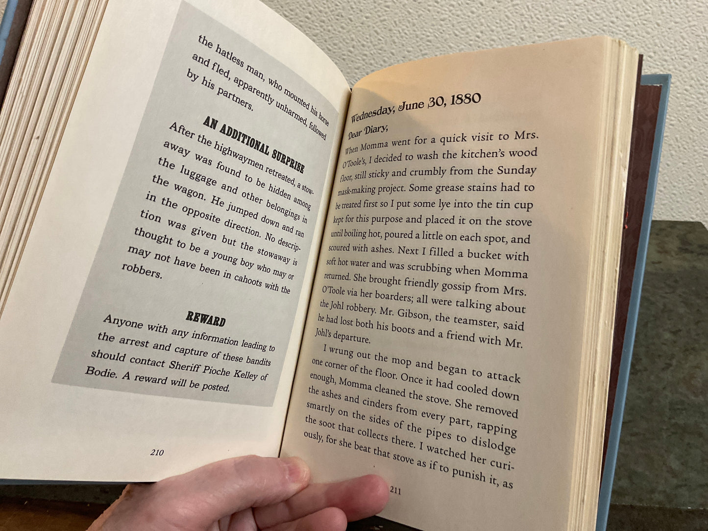 Book BehindThe Masks
