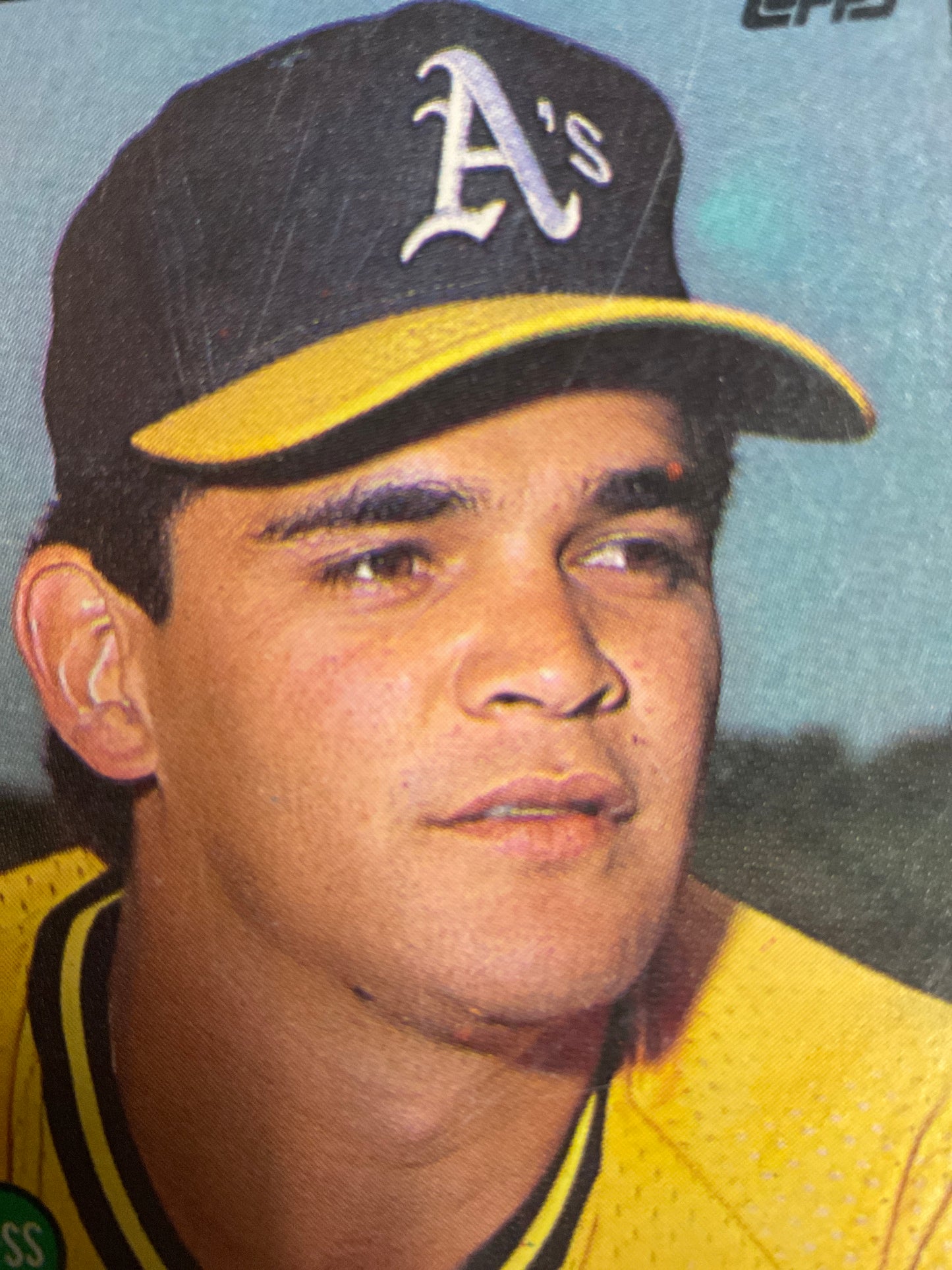 Baseball Card Mike Gallego
