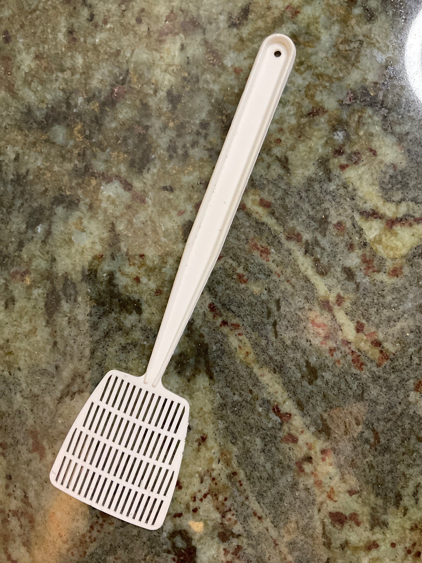 Vintage Rowley IA Savings Bank Advertising Fly Swatter
