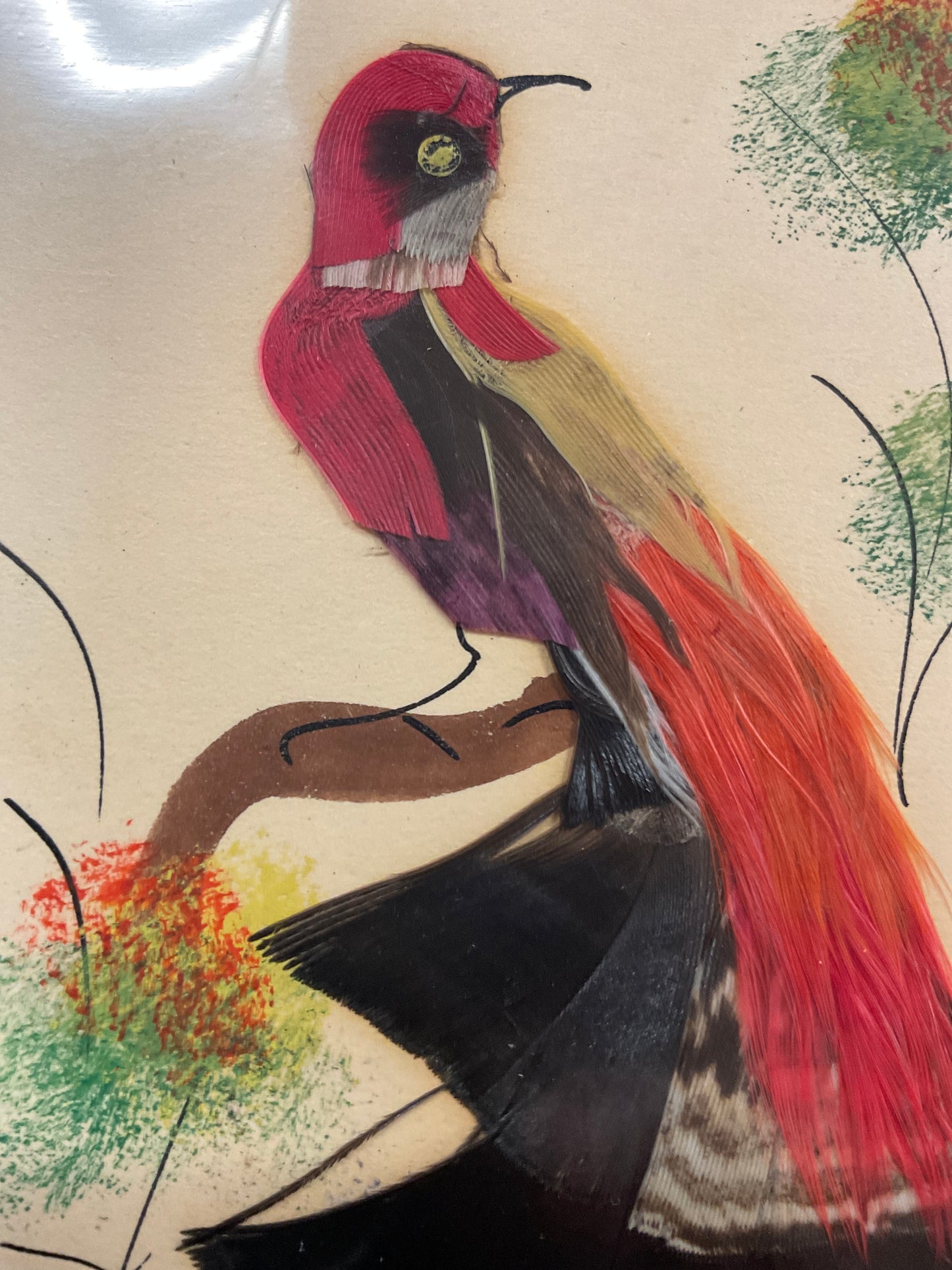 Mexican Feather Bird Art