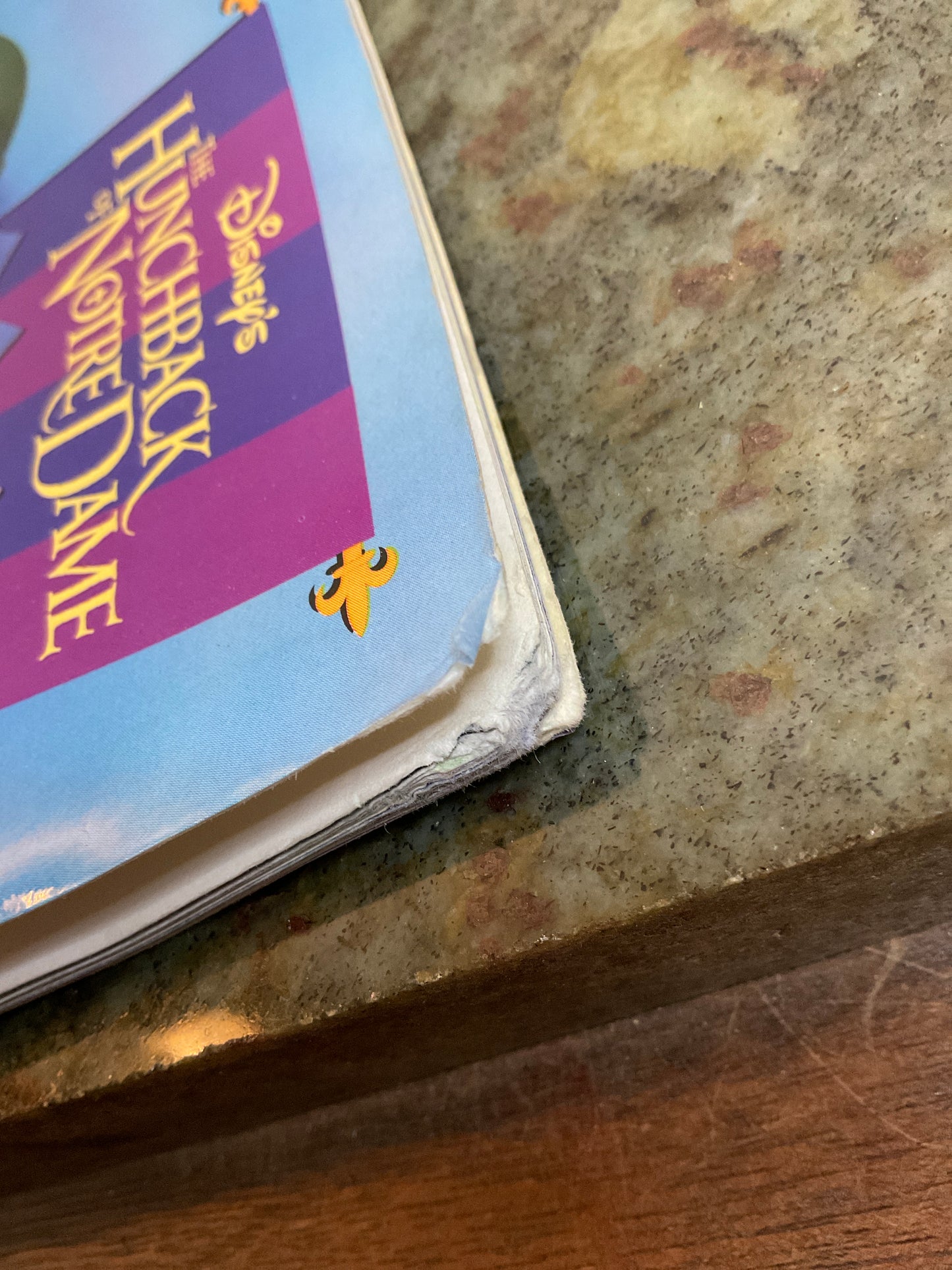 Hunchback….Book