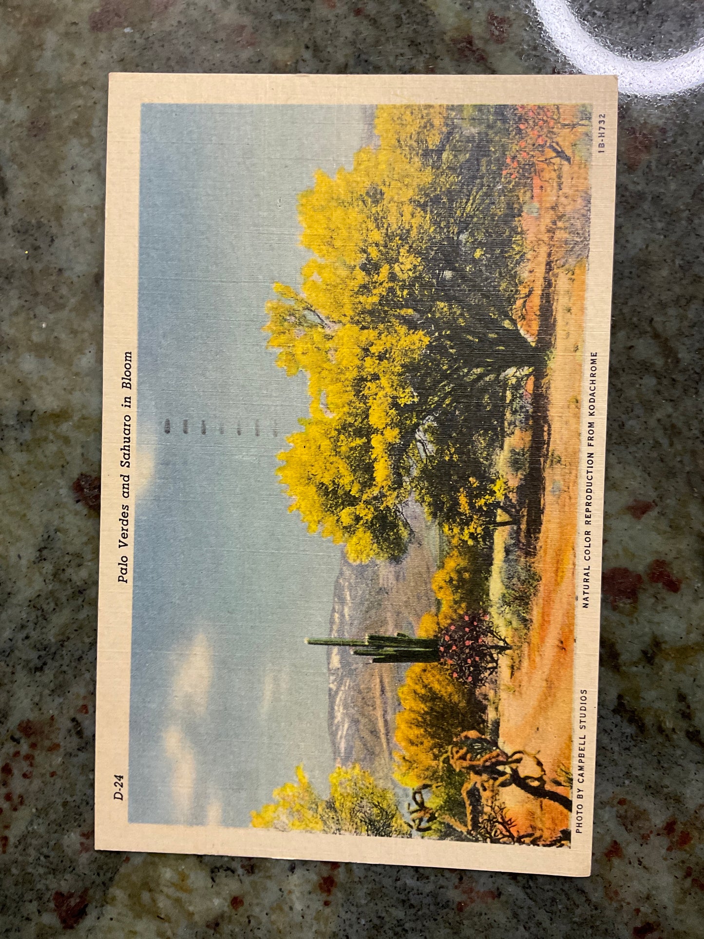 Vintage 1957 Post Card