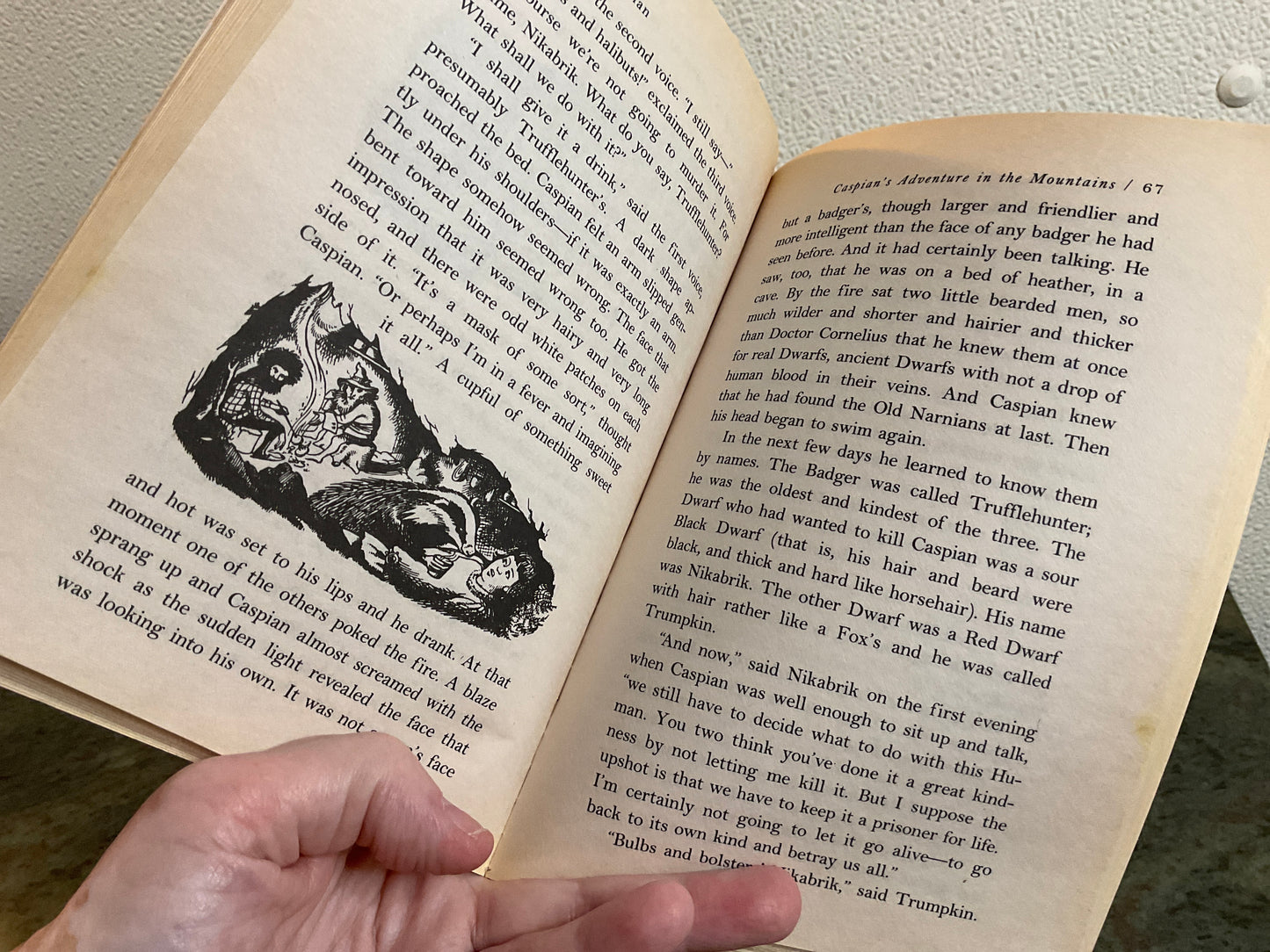 Book Prince Caspian