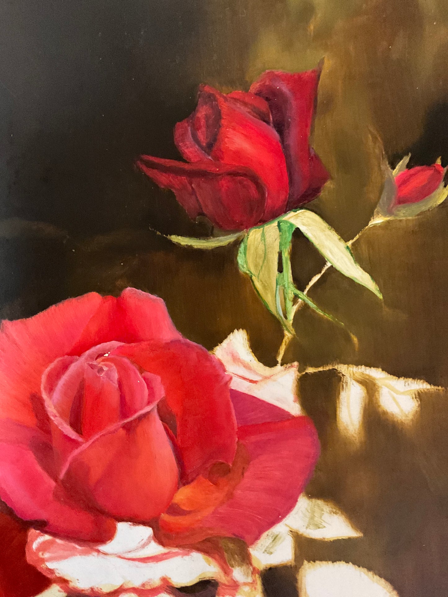 Roses Picture