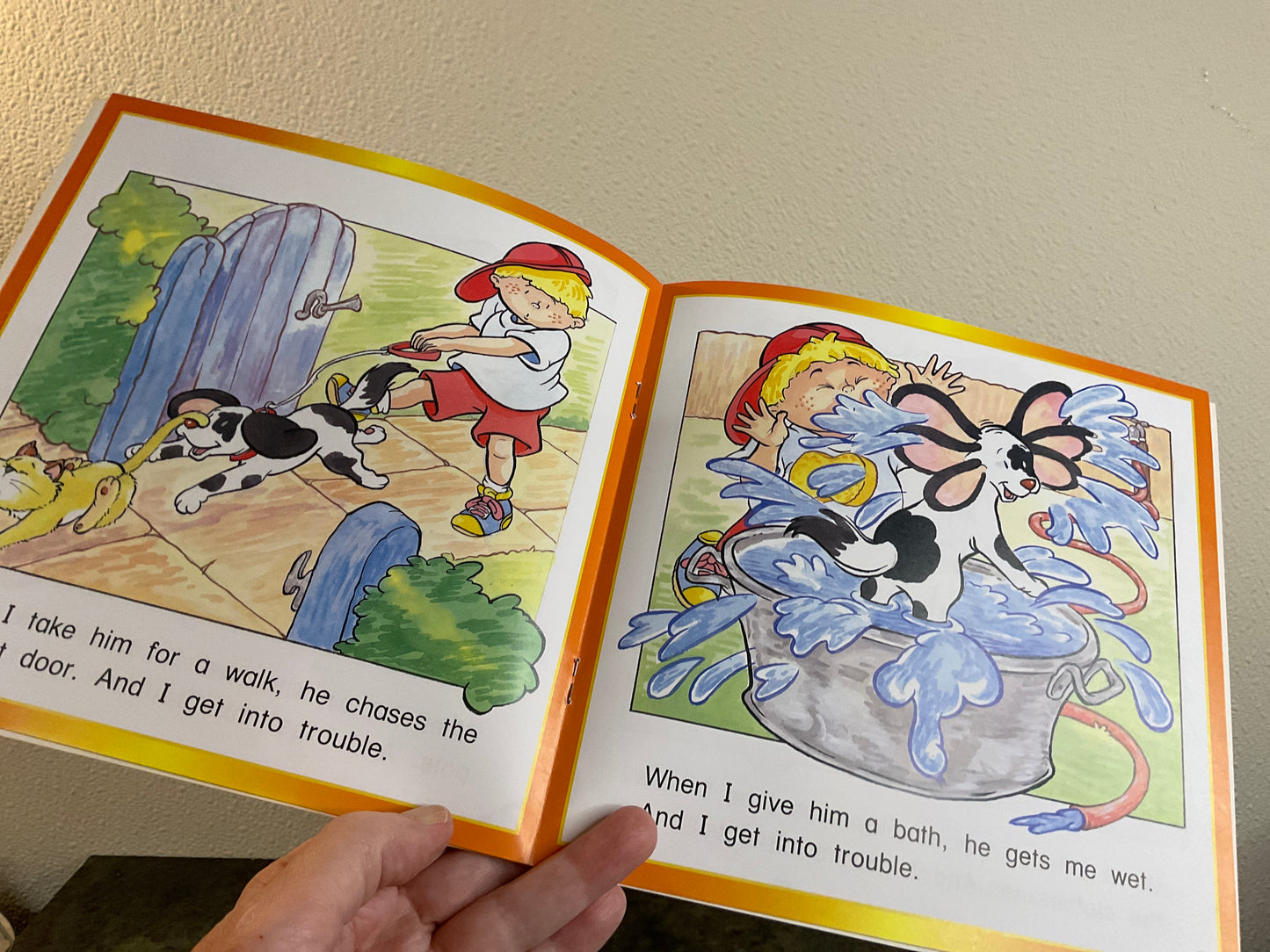 Book Trouble