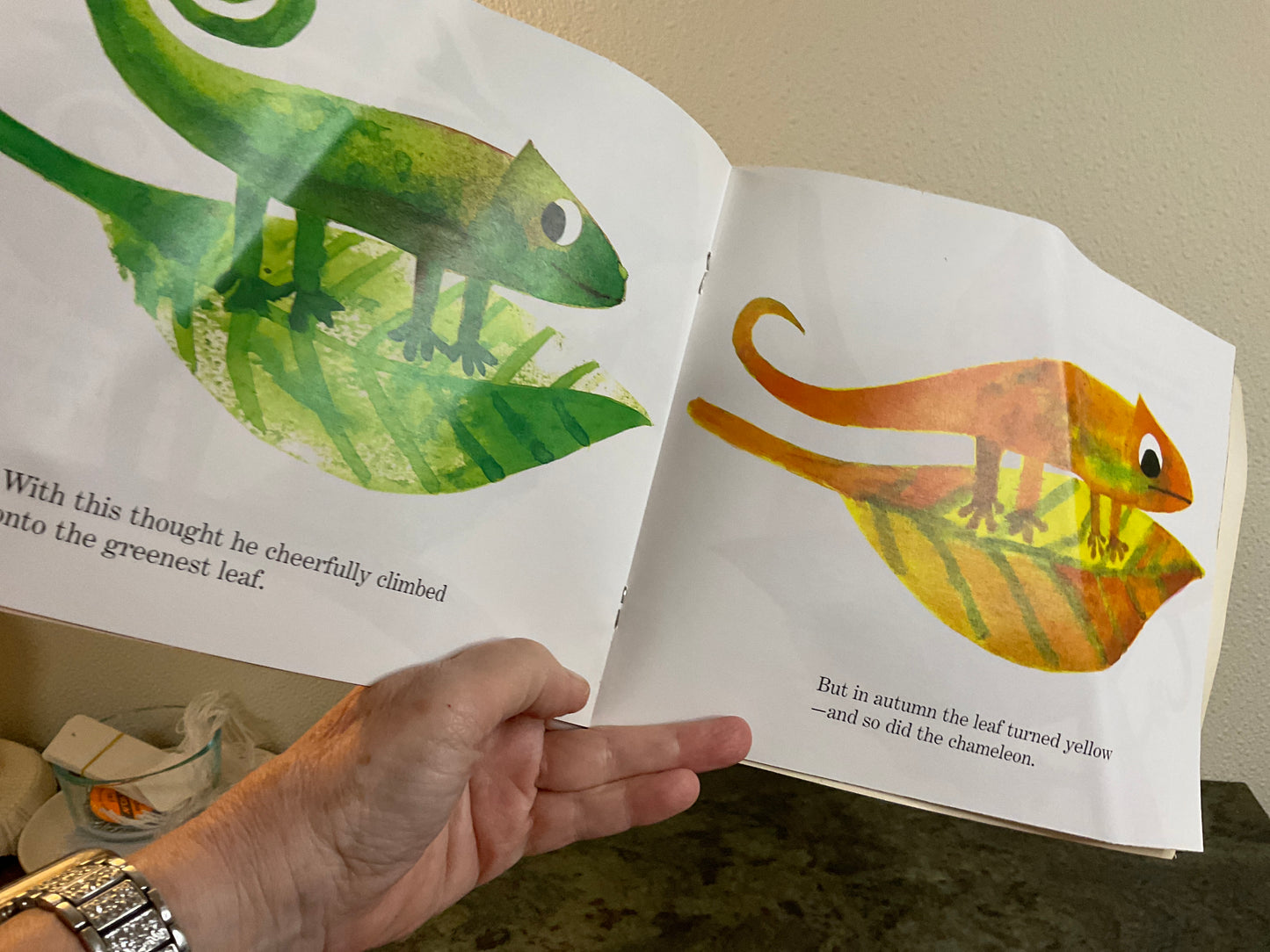 Book A Color of His Own