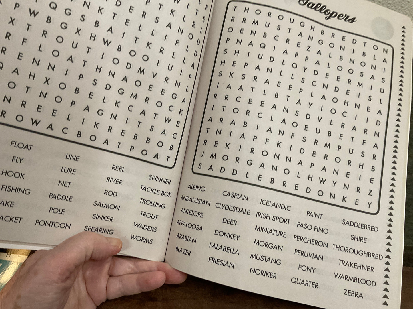 Large Print Jumbo Word Search