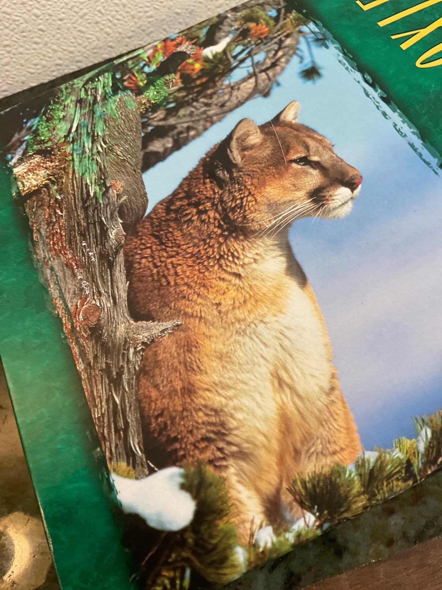 500 Piece Mountain Lion Puzzle