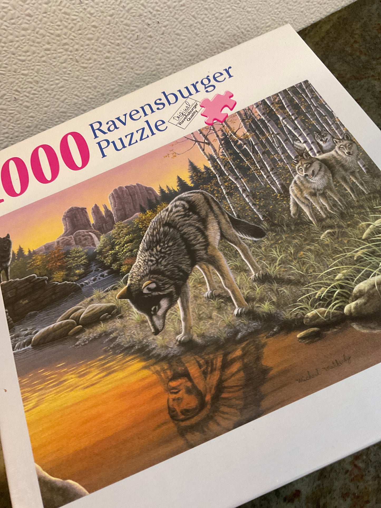 1000 Piece Reflections Ravensburger Puzzle