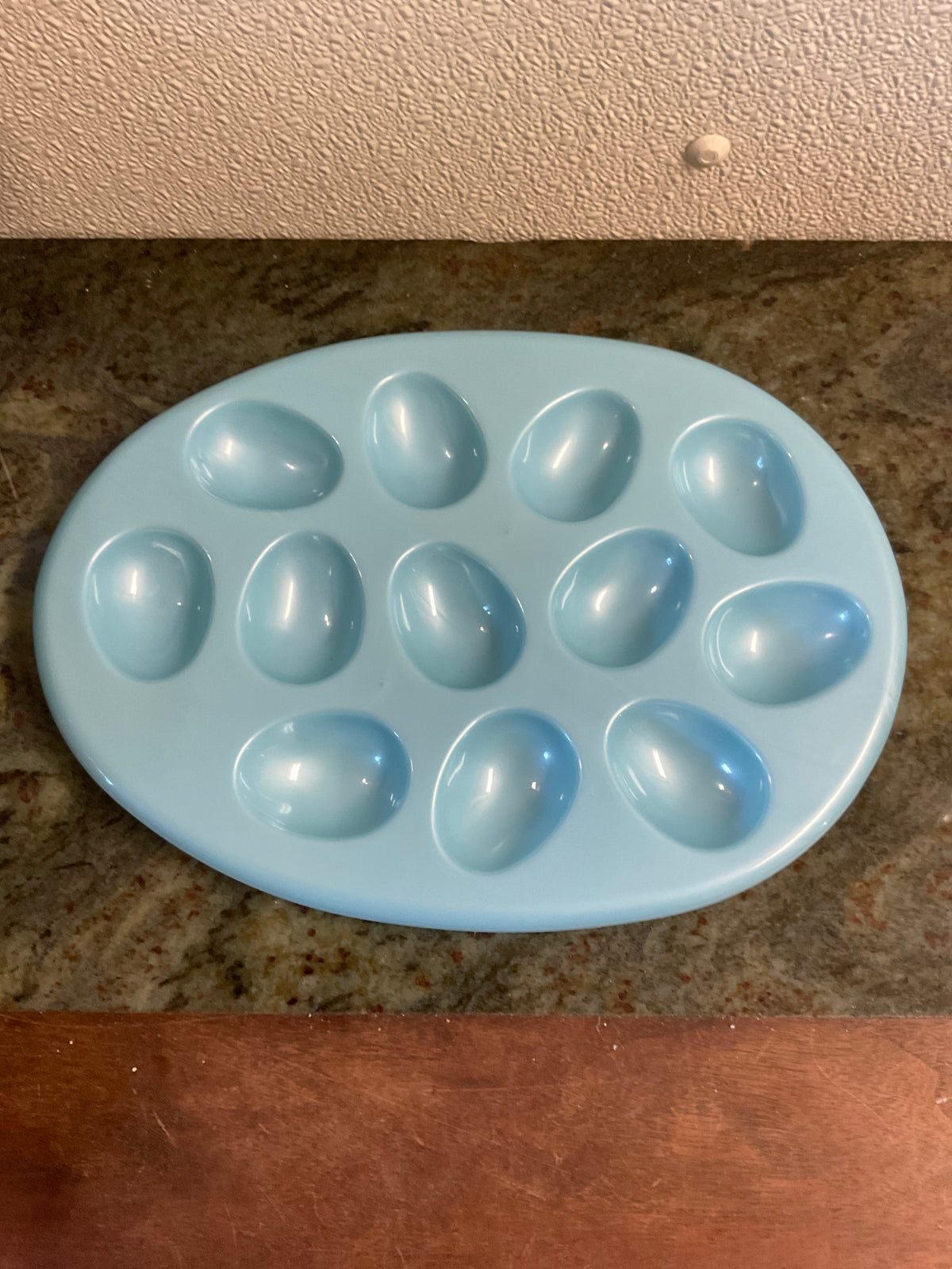 Blue Plastic Easter Egg Shaped Deviled Egg Tray