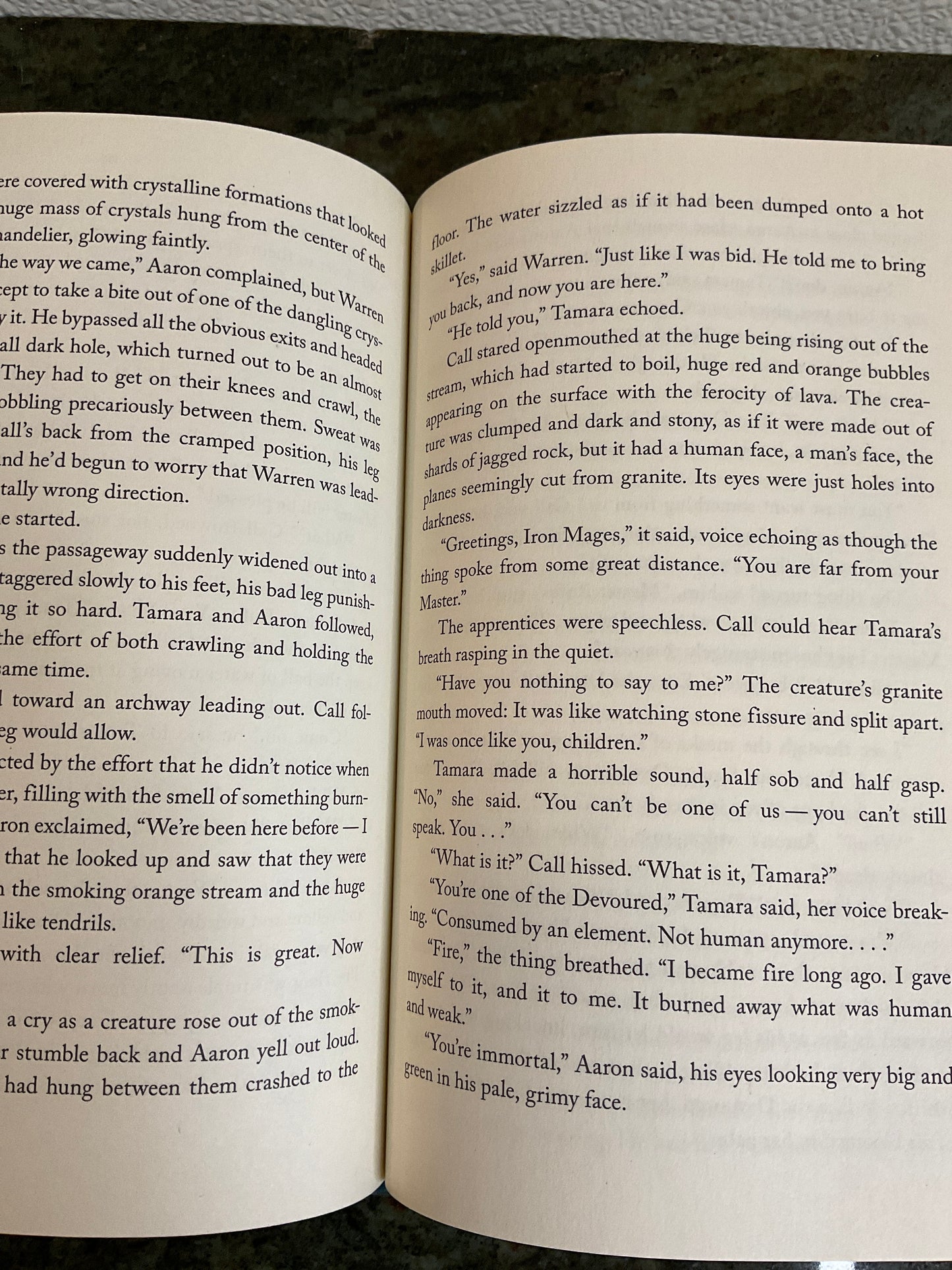 Book The Iron Trial