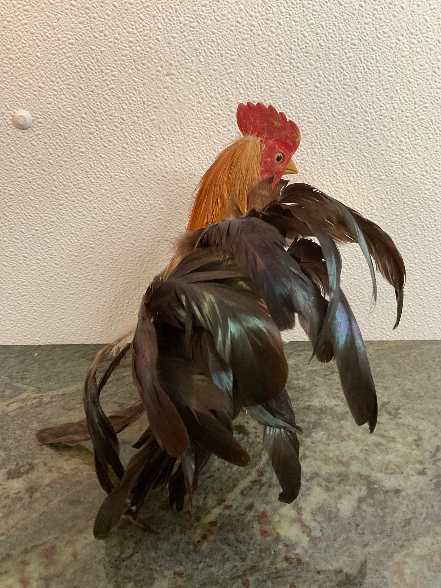 Antique Primitive Feathered Rooster