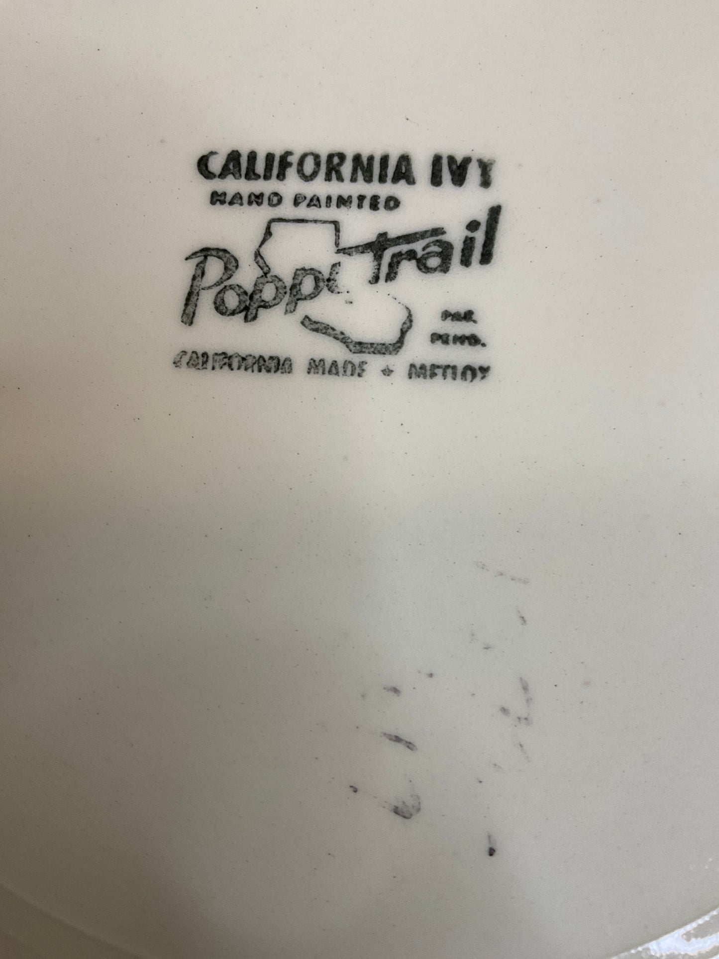 2 California Ivy 10.5” Hand painted Plates