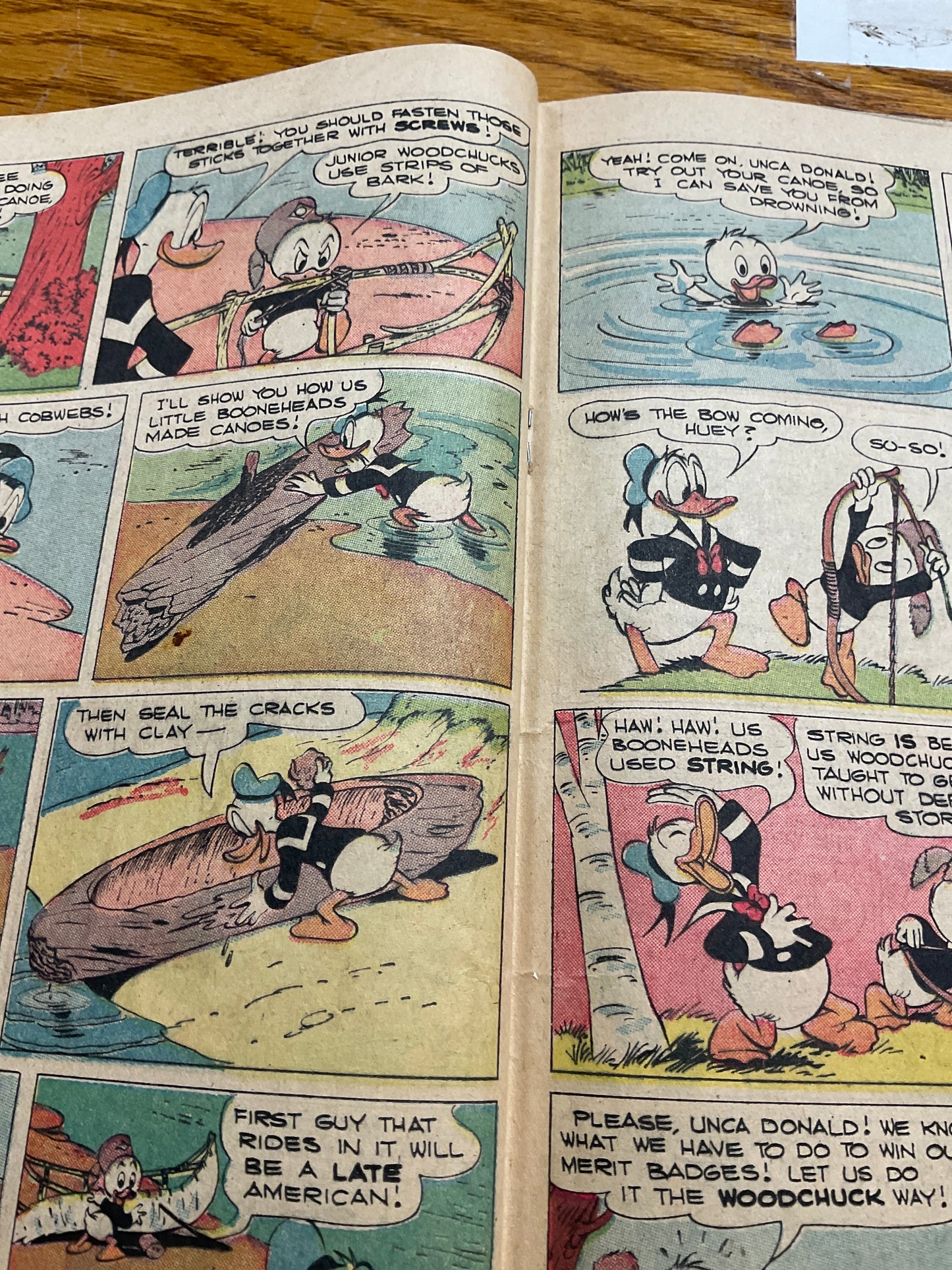 Comic Book Huey Dewey and Louie and Junior Woodchucks
