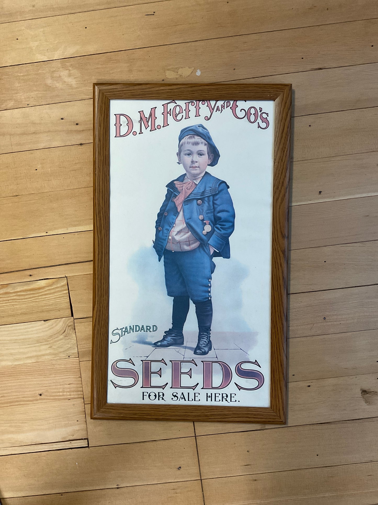 D.M. Ferry and Co’s Standard Seed pictures Set