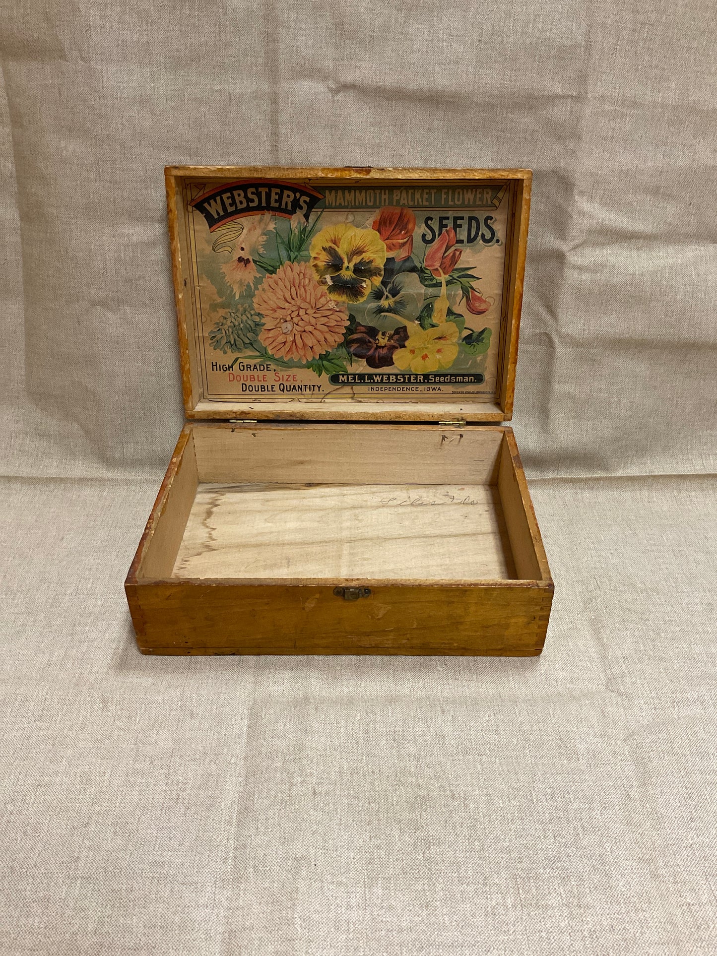 Webster’s Mammoth PacketFlower Seed Box