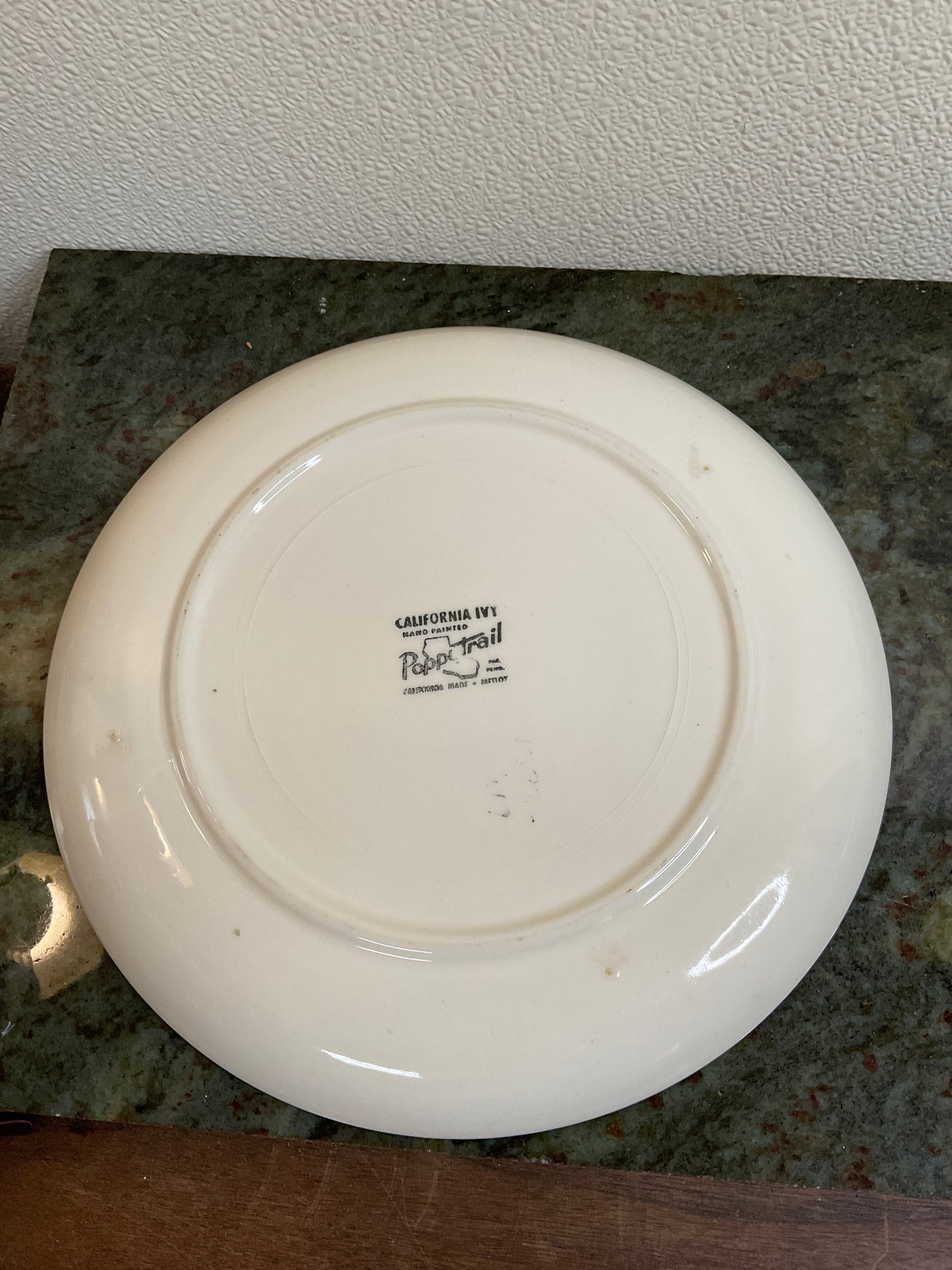 2 California Ivy 10.5” Hand painted Plates