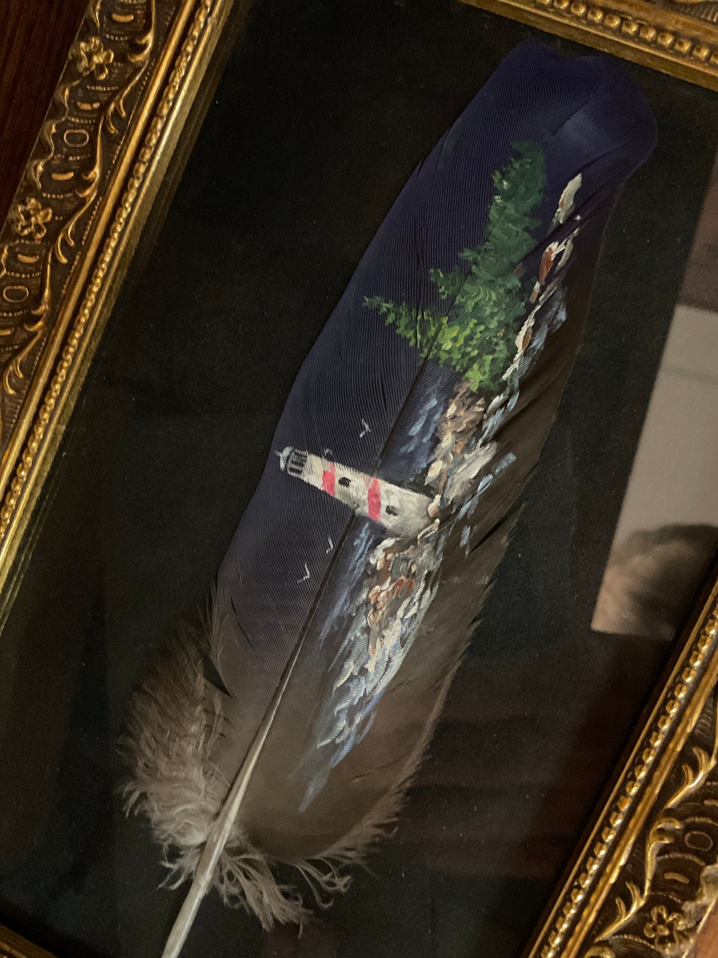 Framed Painted Feather Art