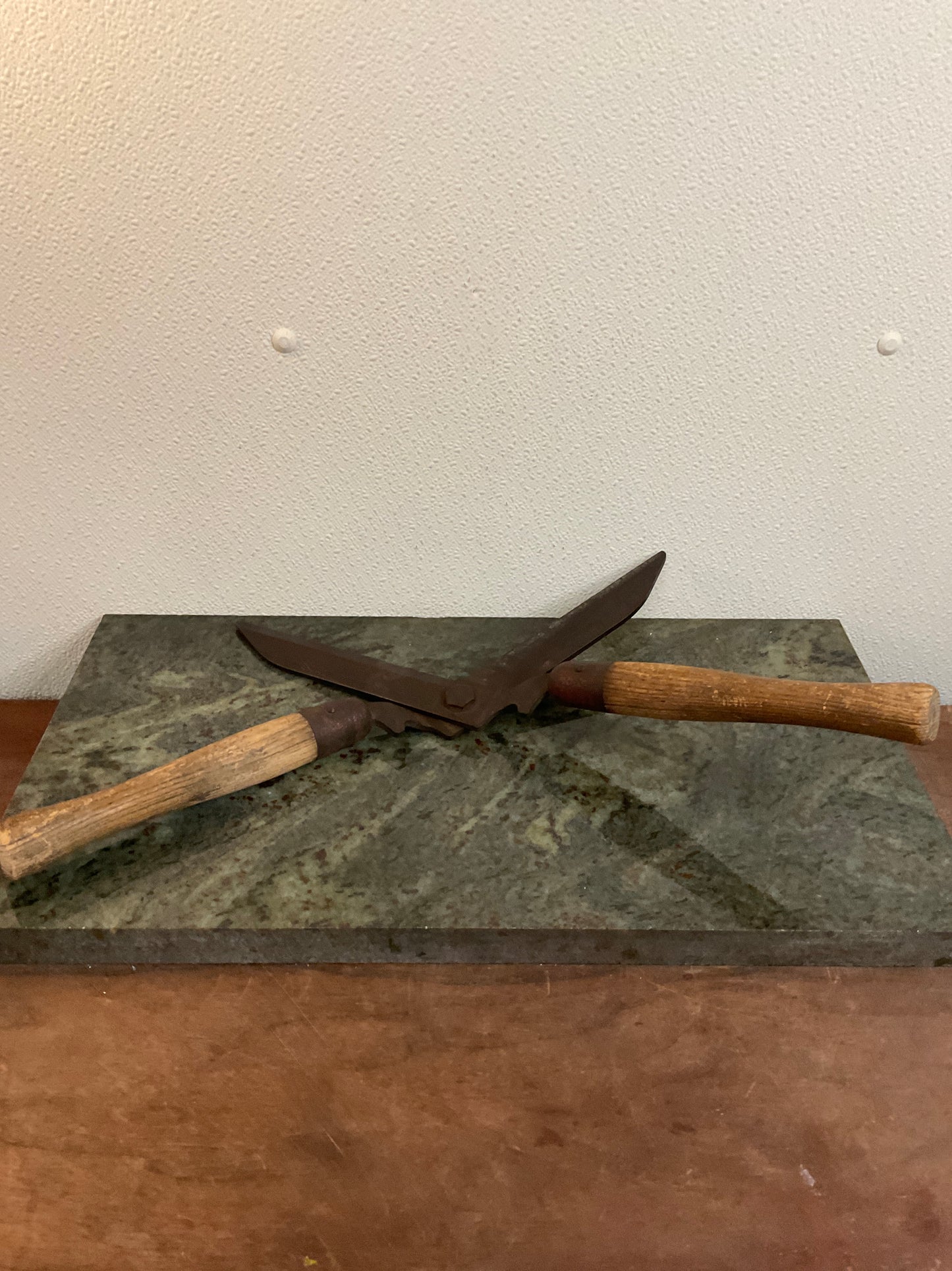 Vintage Hedge Shears