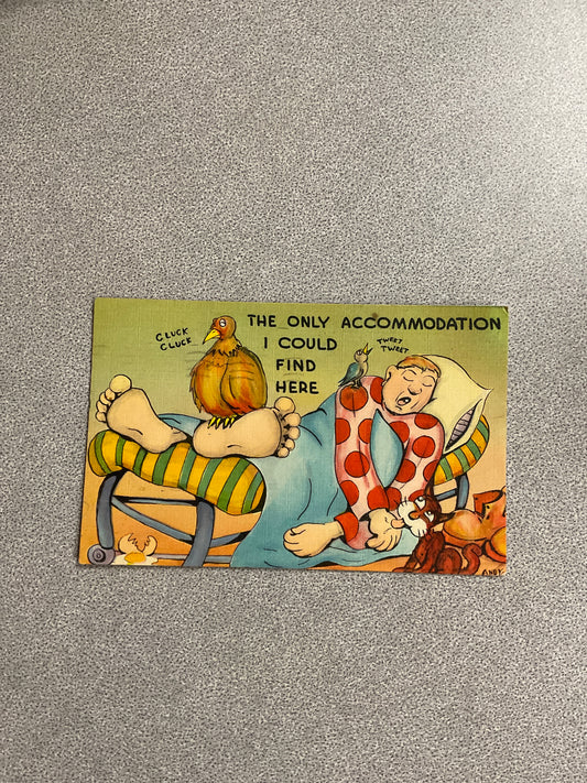 Vintage Post Card “The Only Accommodation…”