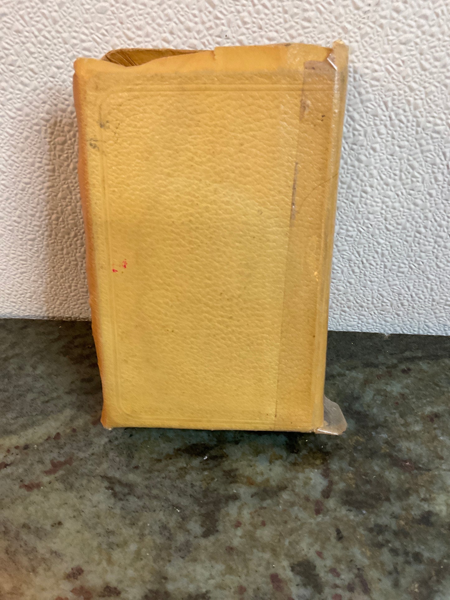 Vintage Bible
