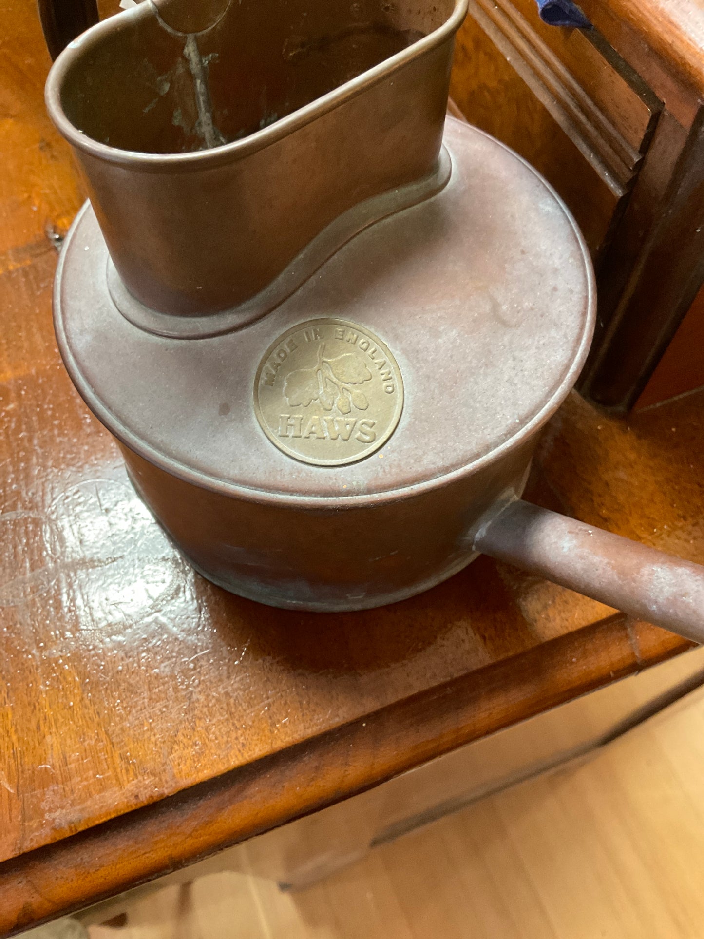 Bronze Watering Can