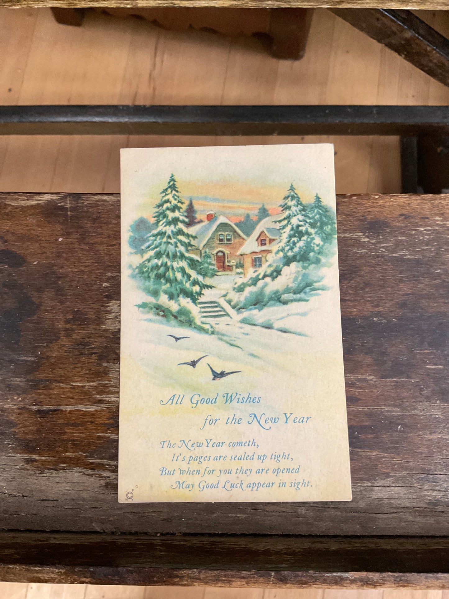 Antique Post Card - New Year