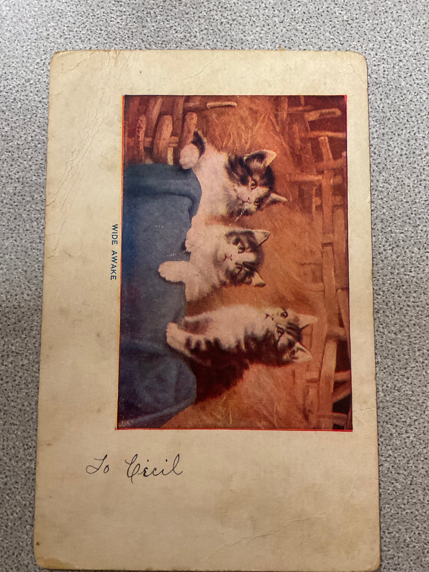 Postcard Wide Awake