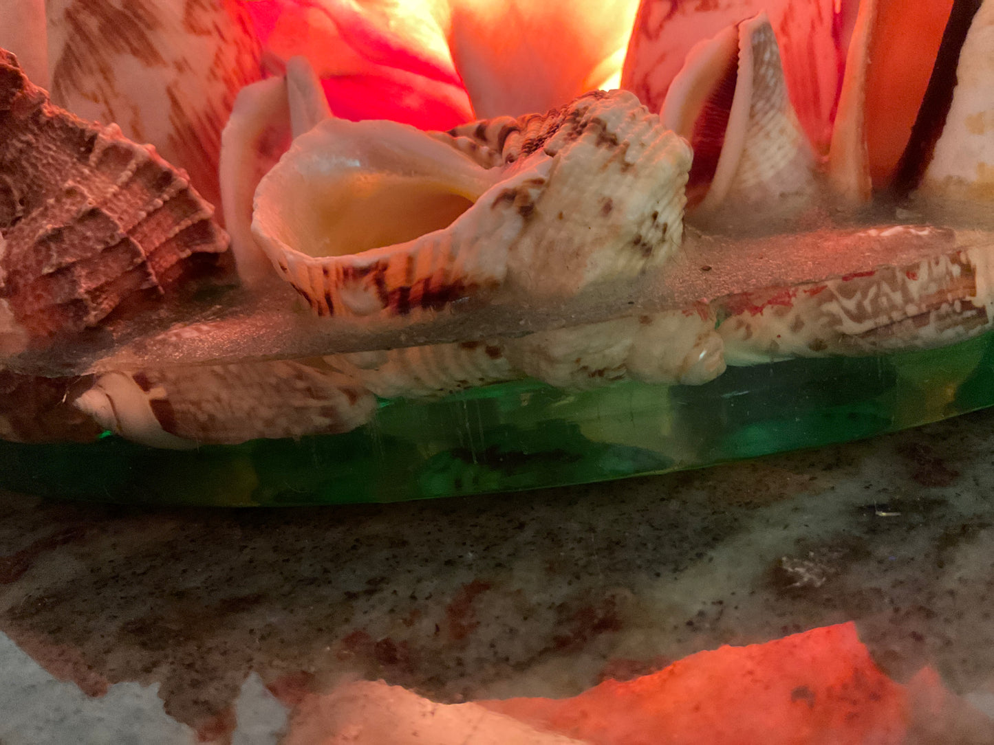Vintage Pink Queen Conch Shell Lamp