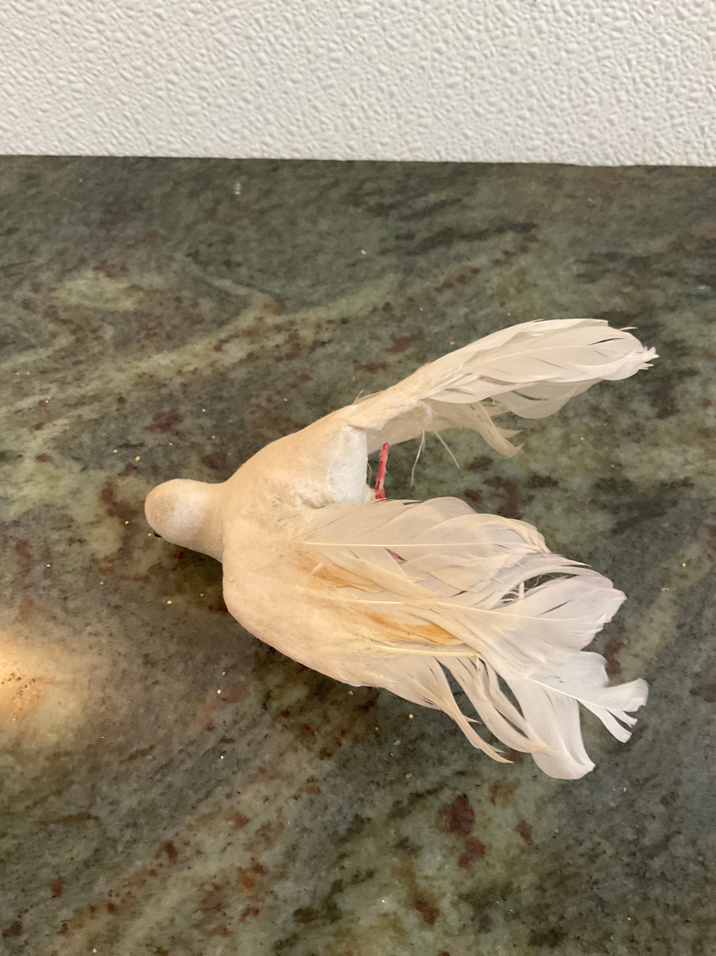 White Bird