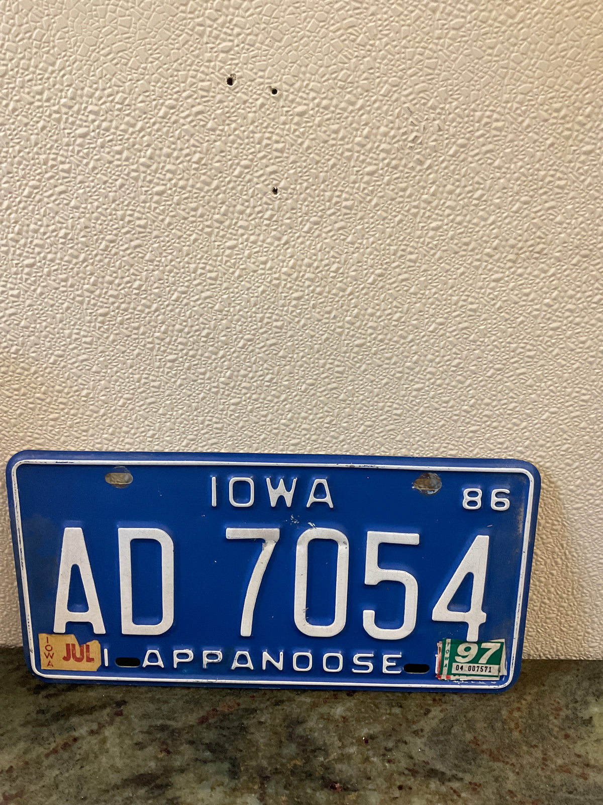 Vintage set of Appanoose License Plates