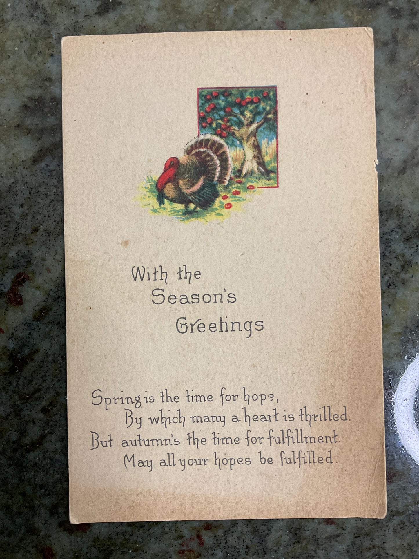 Vintage Post Card