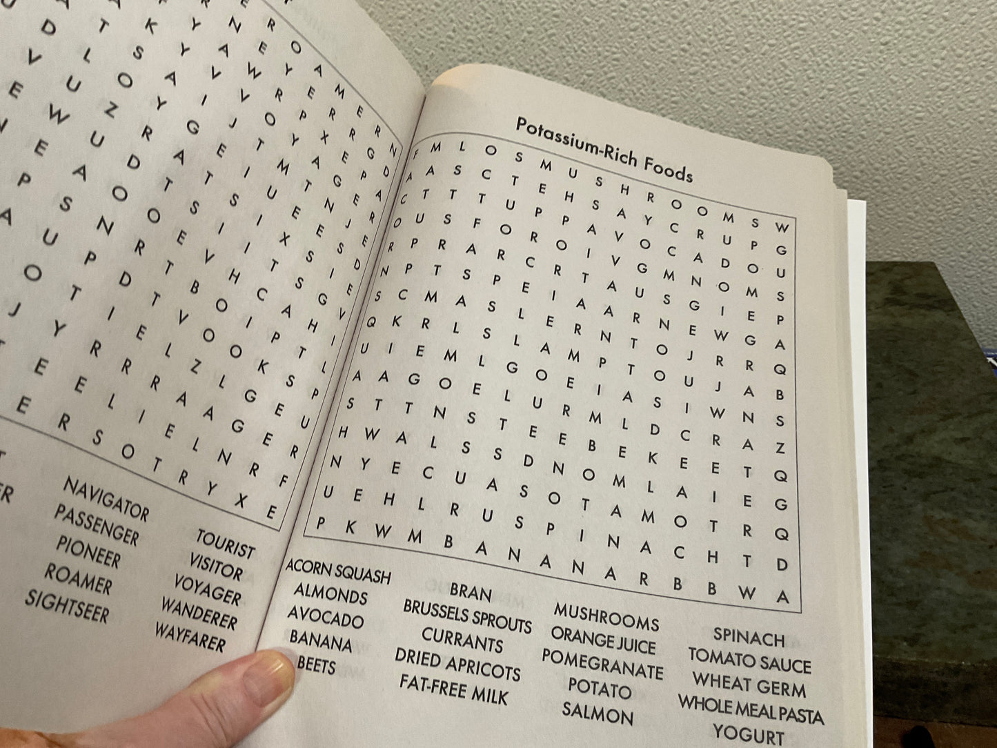 Large Print Word Hunt