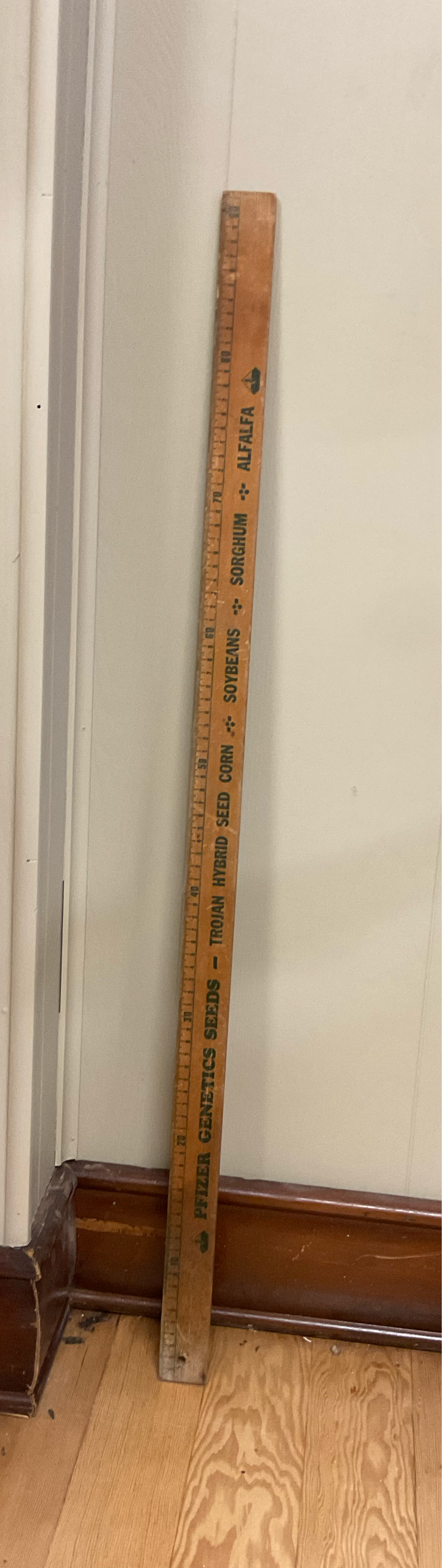 Pfizer Genetics Seeds Yard Stick