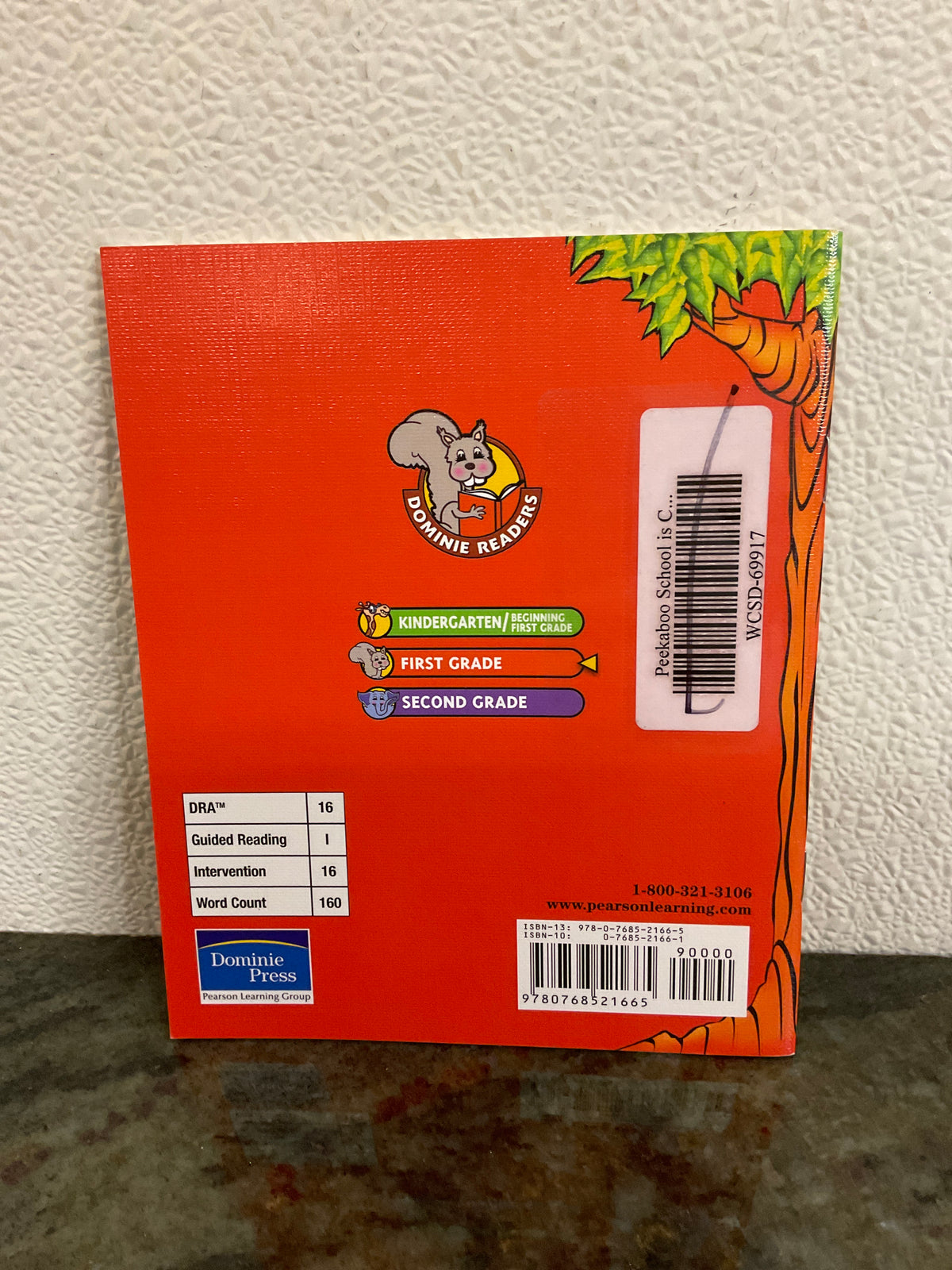 Book Peekaboo School Is Cool