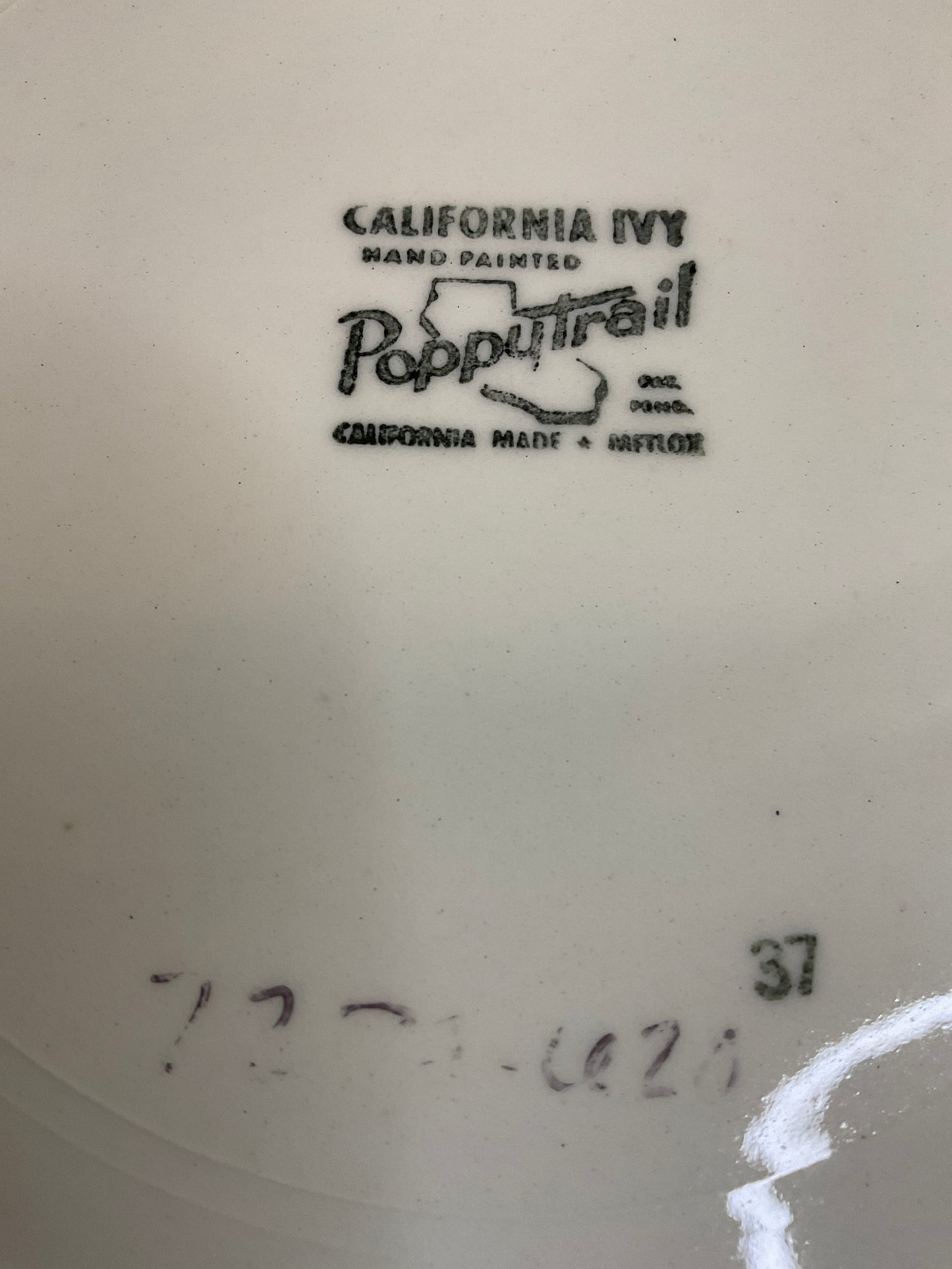 2 California Ivy 10.5” Hand painted Plates