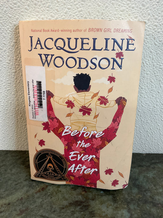 Book 2020 Before The Ever After