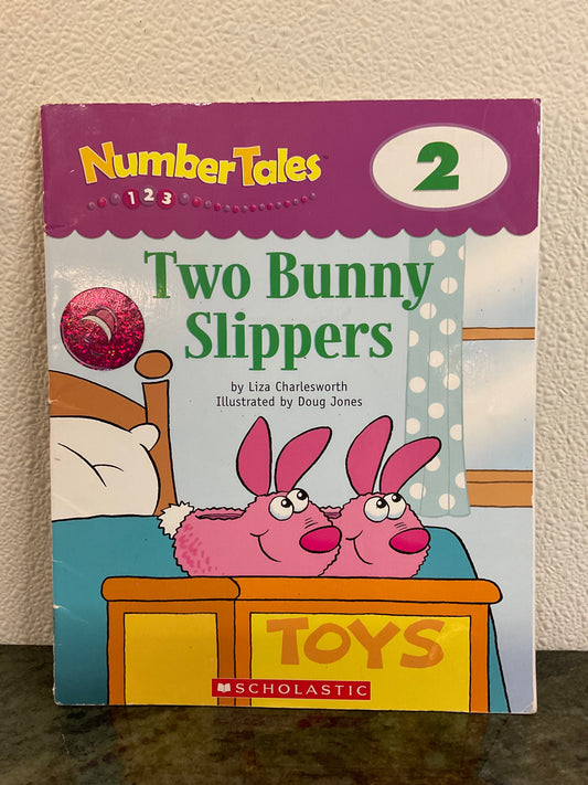 Book Two Bunny Slippers