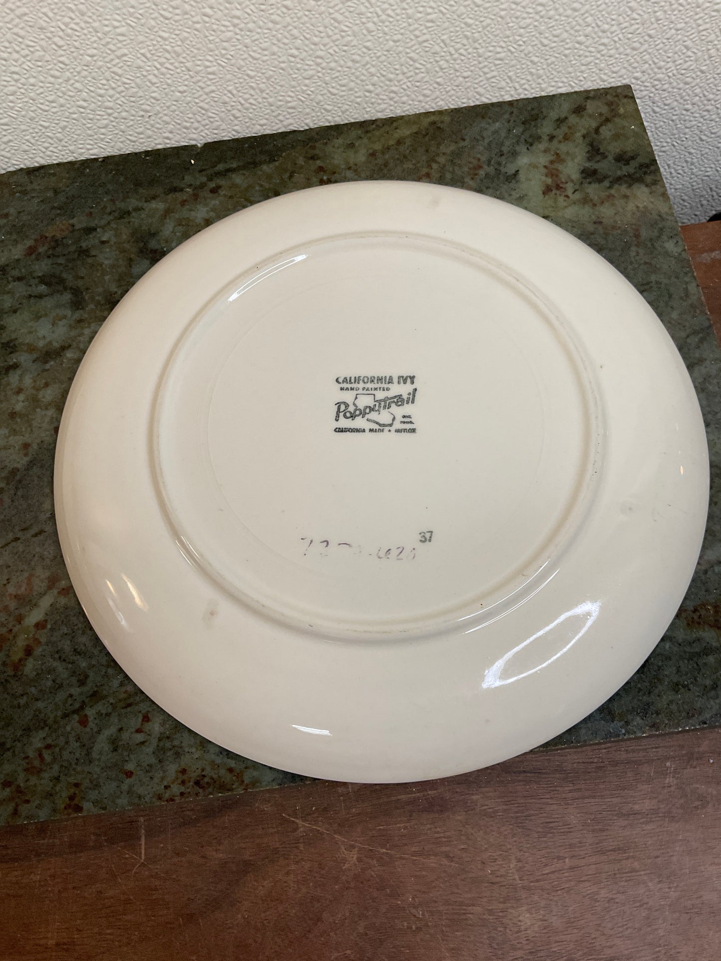 2 California Ivy 10.5” Hand painted Plates