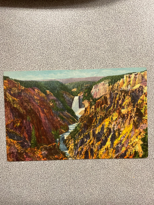 Vintage Postcard