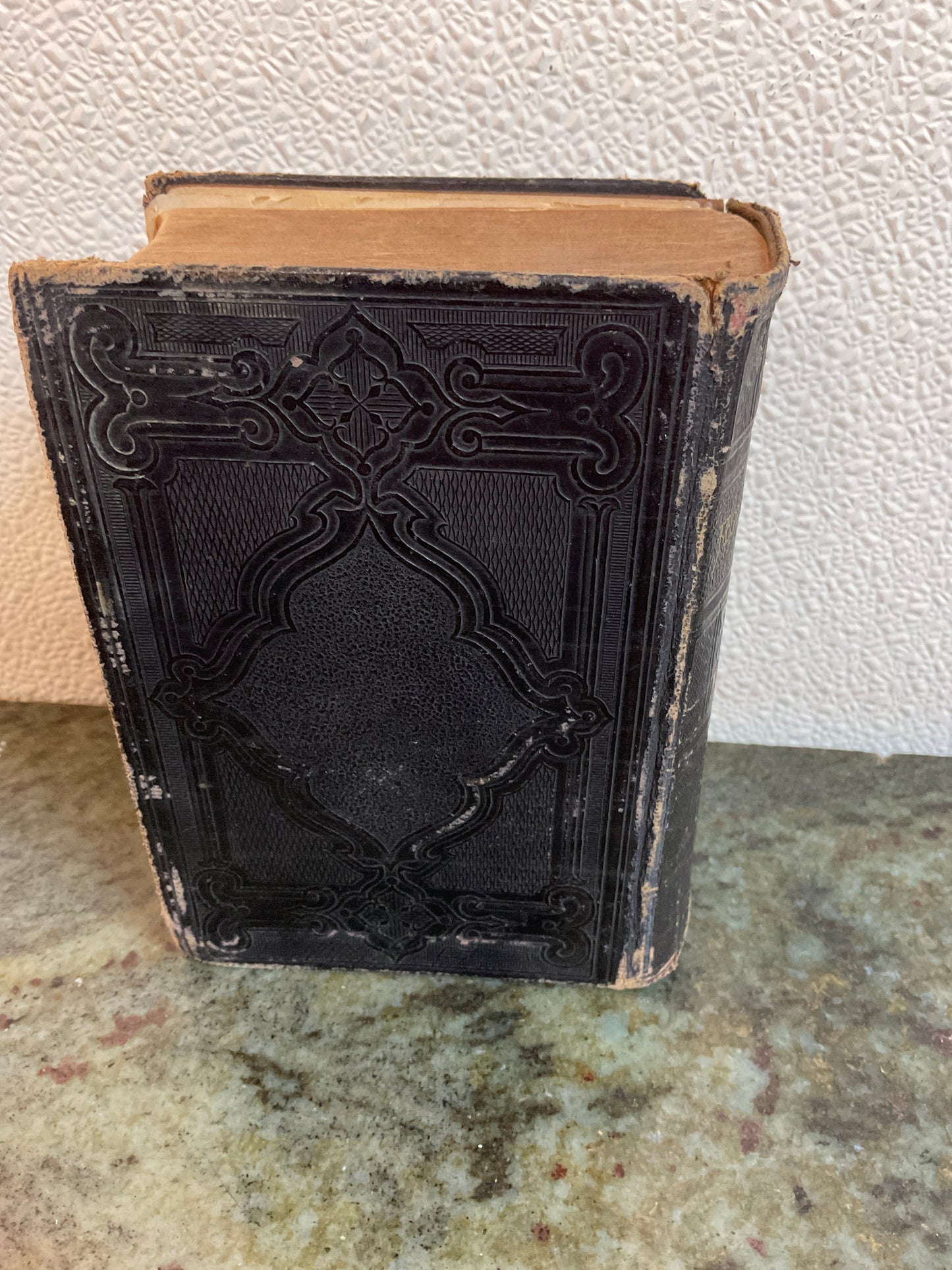 Antique 1883 Bible with Embossed Leather Binding