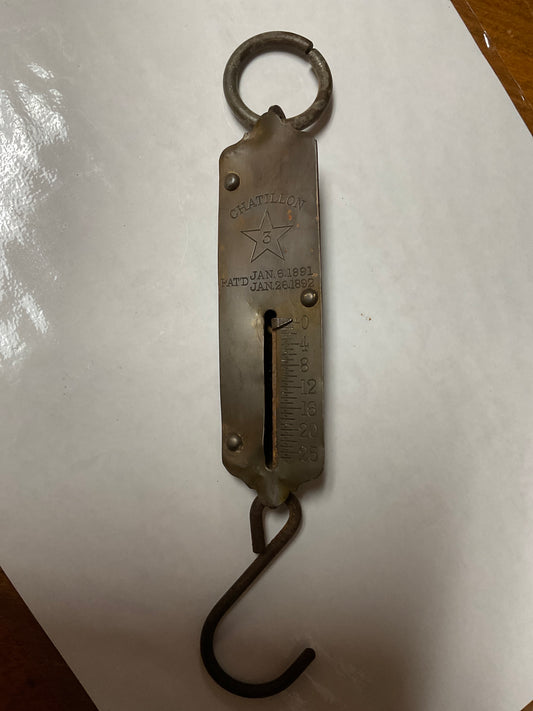 Vtg Chatillon Hanging Fish Scale Model 3