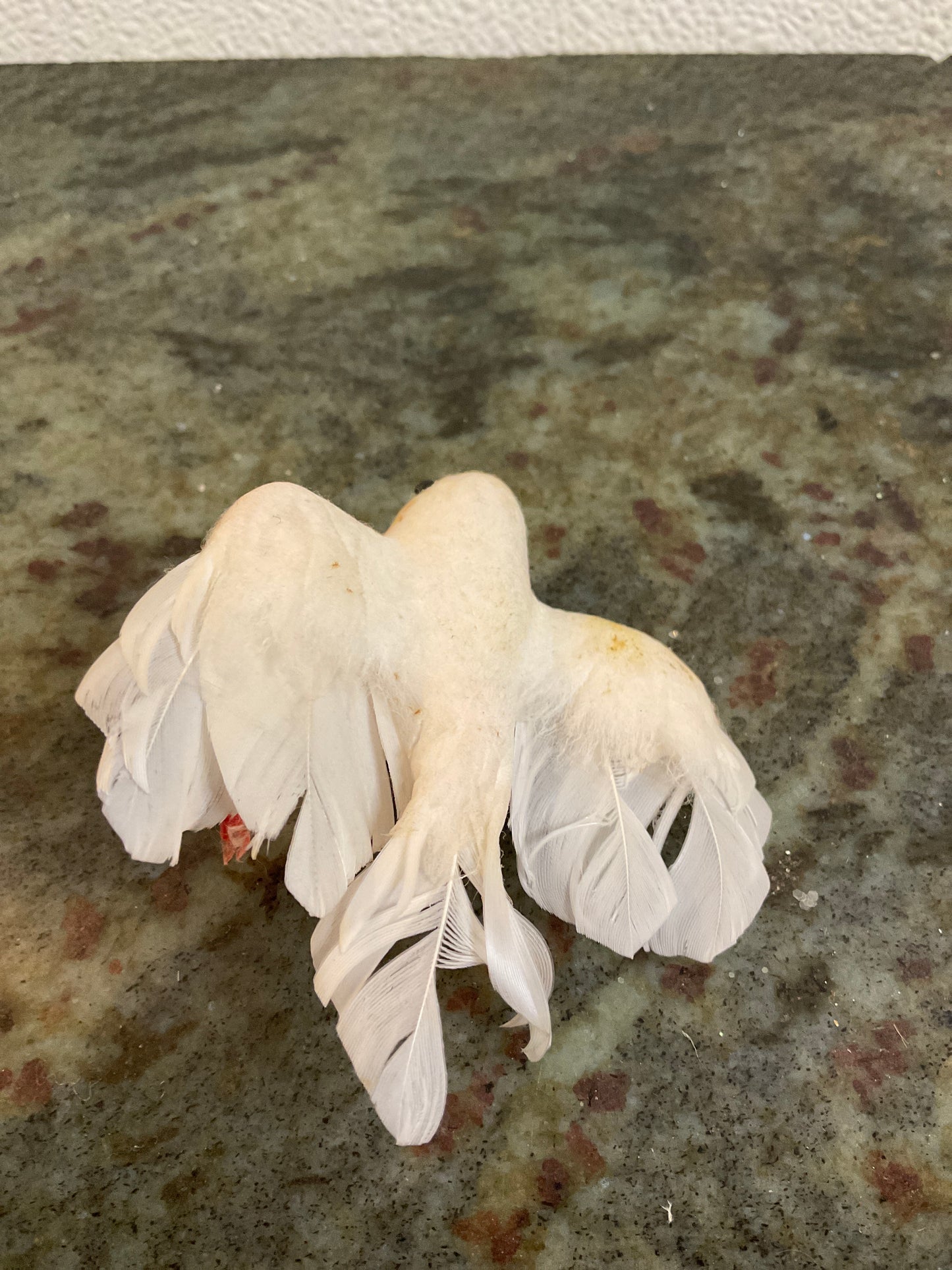 Small Vintage White Bird