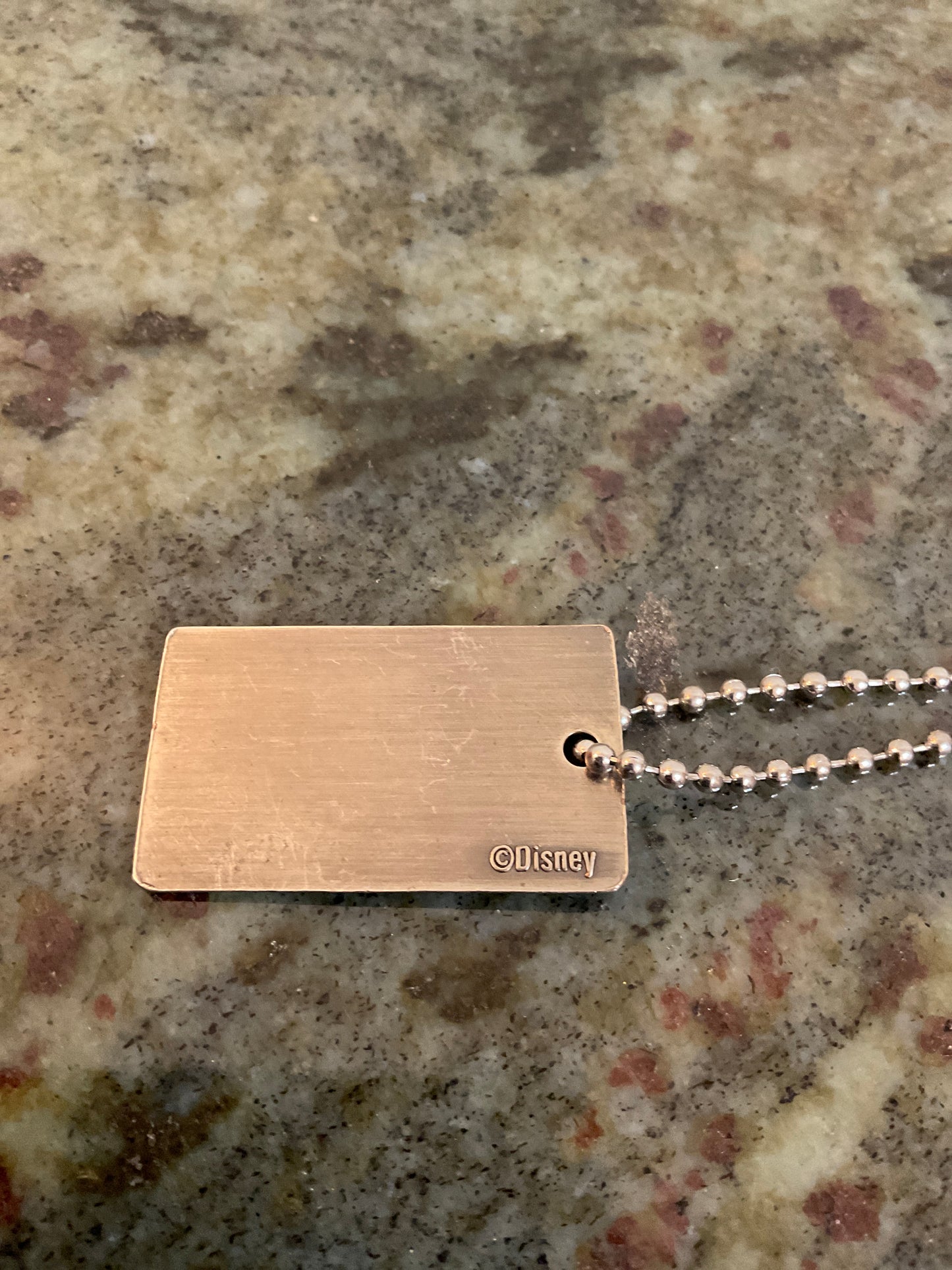 Disney Buddy Tag Necklace