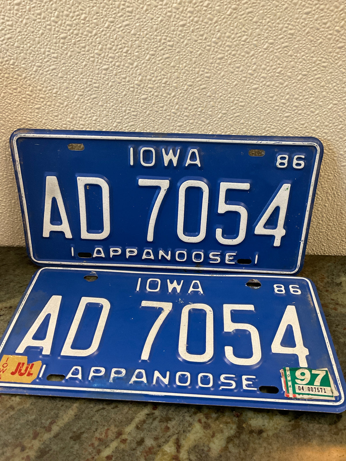 Vintage set of Appanoose License Plates