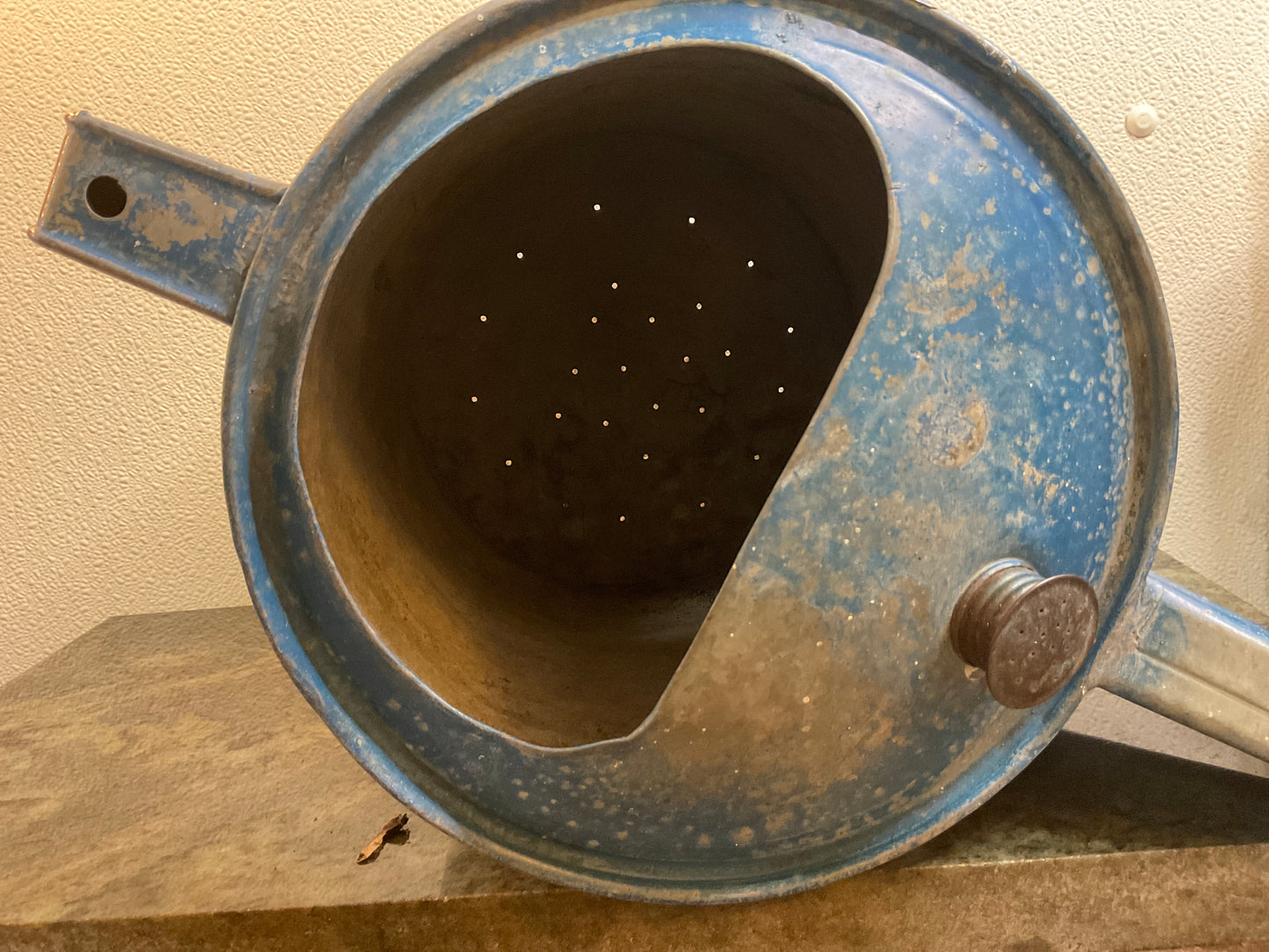 Upcycled Vintage Watering Can Flower Pot