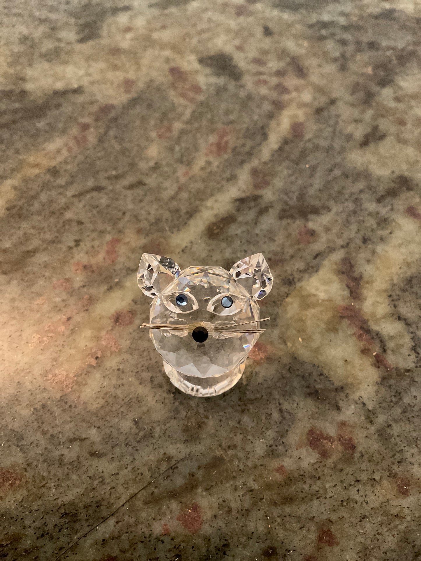 Crystal Cat