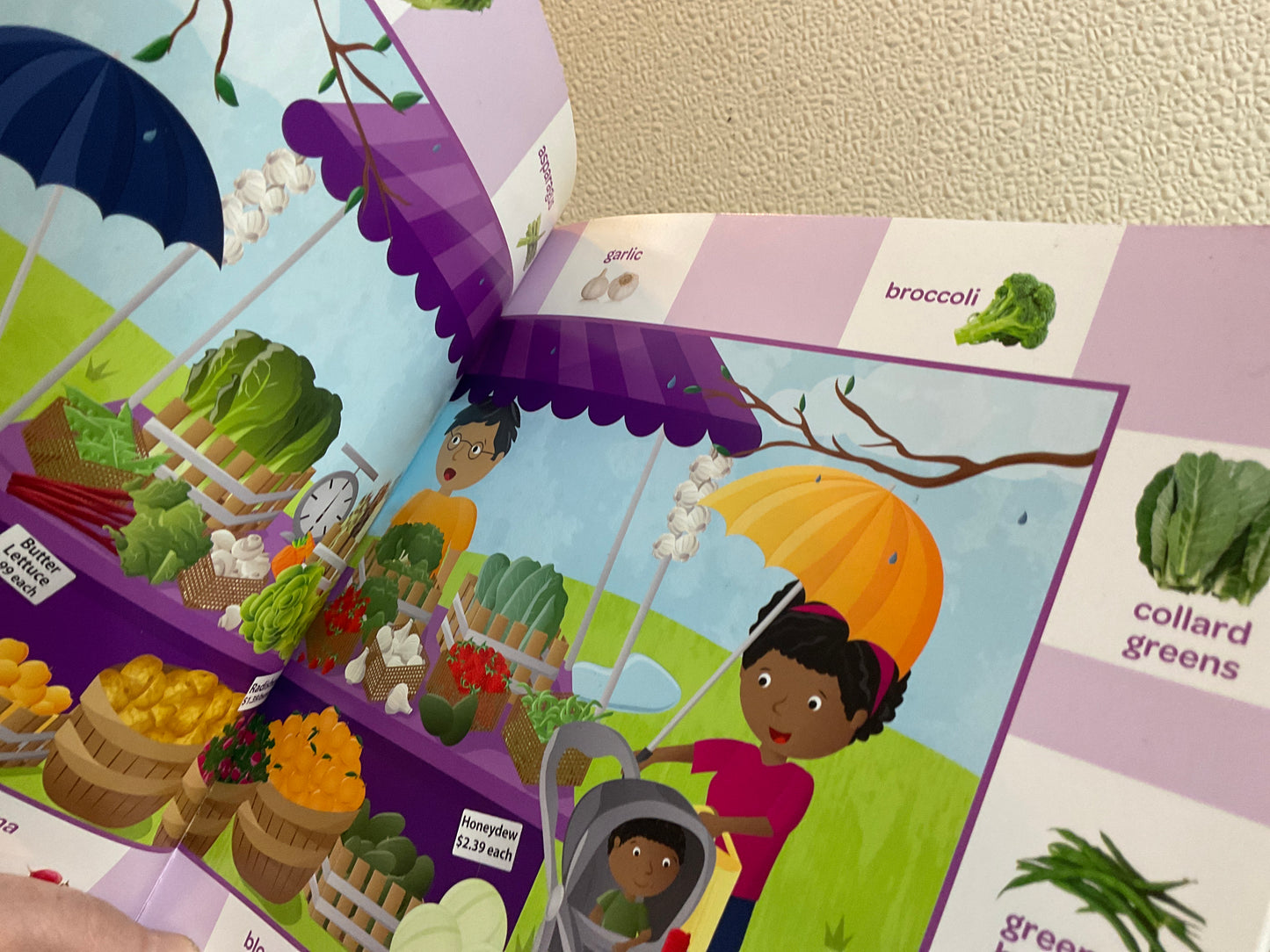 Scholastic Book